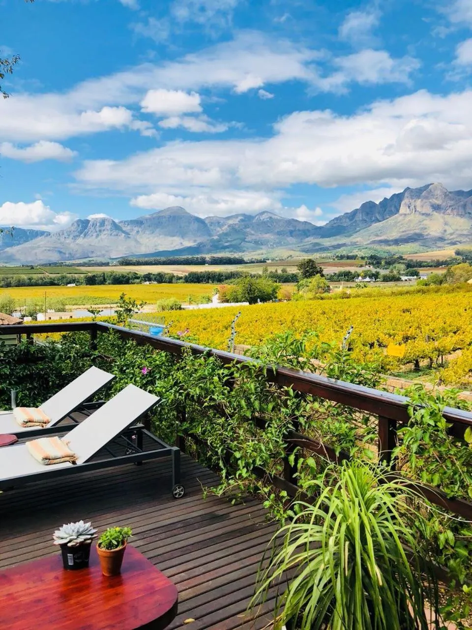 Property building in Wellington Country House