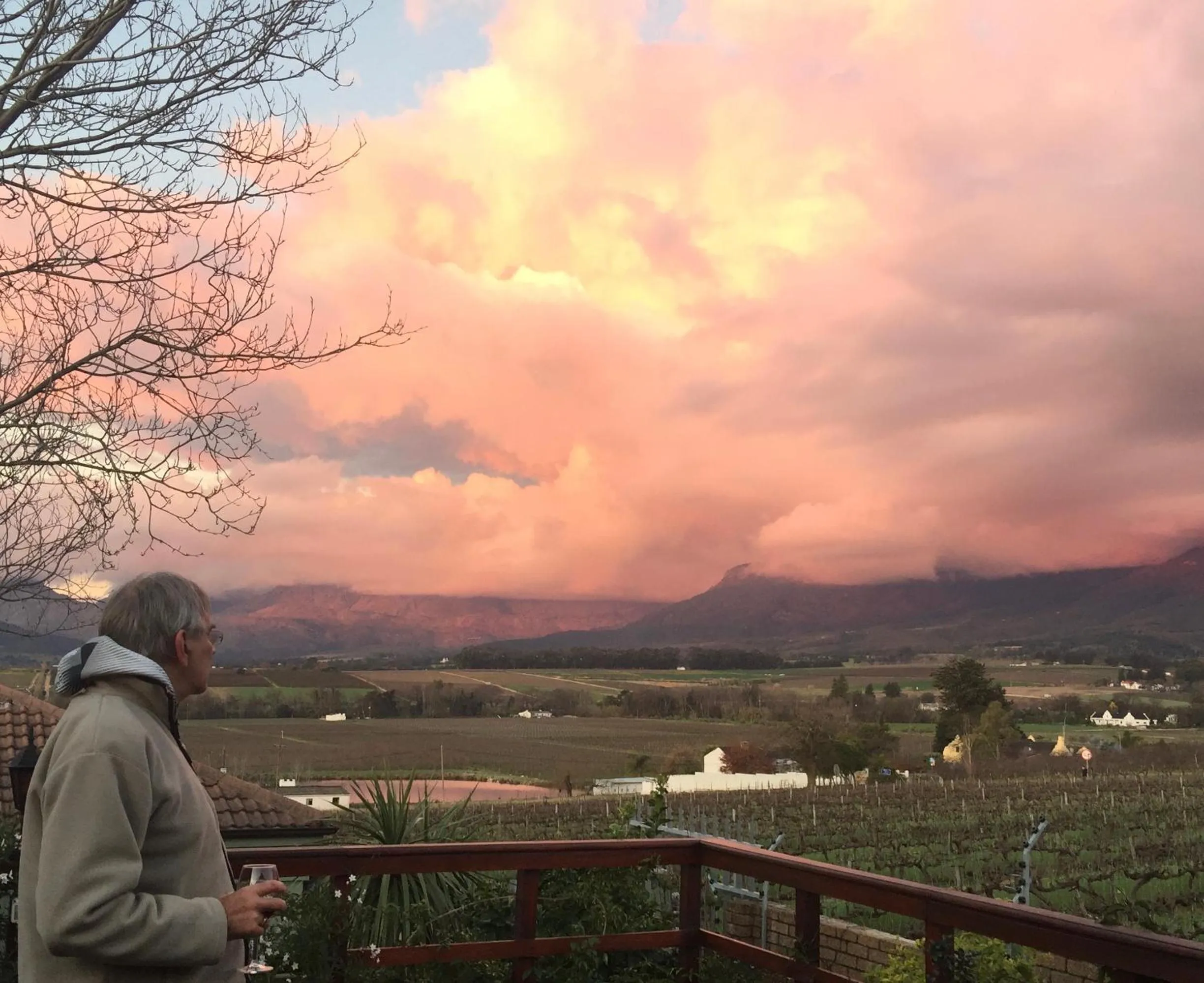 Patio in Wellington Country House