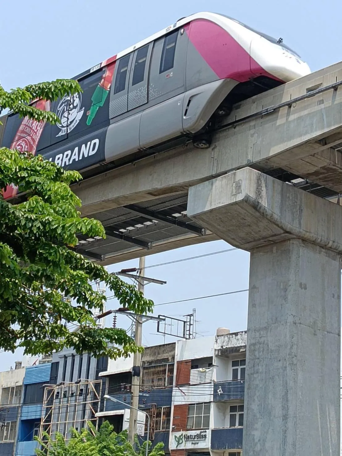 Area and facilities in Naturbliss Resort Village