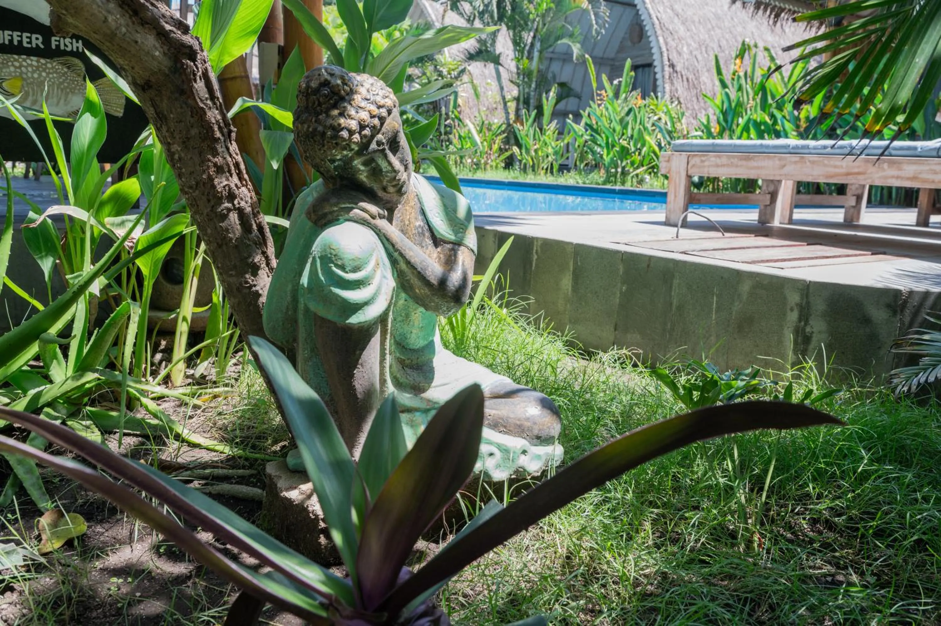 Garden in Gili Matiki
