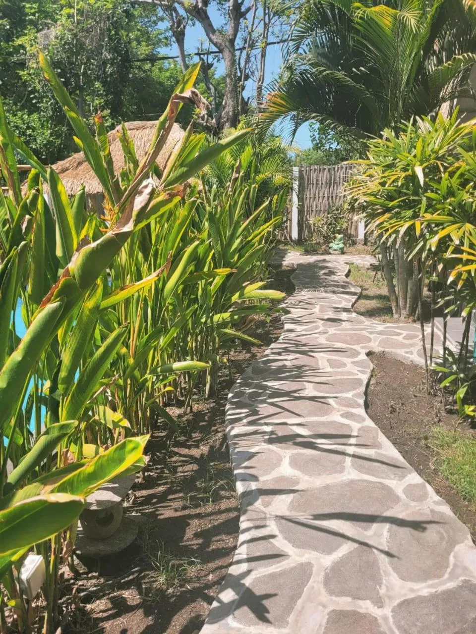 Garden in Gili Matiki
