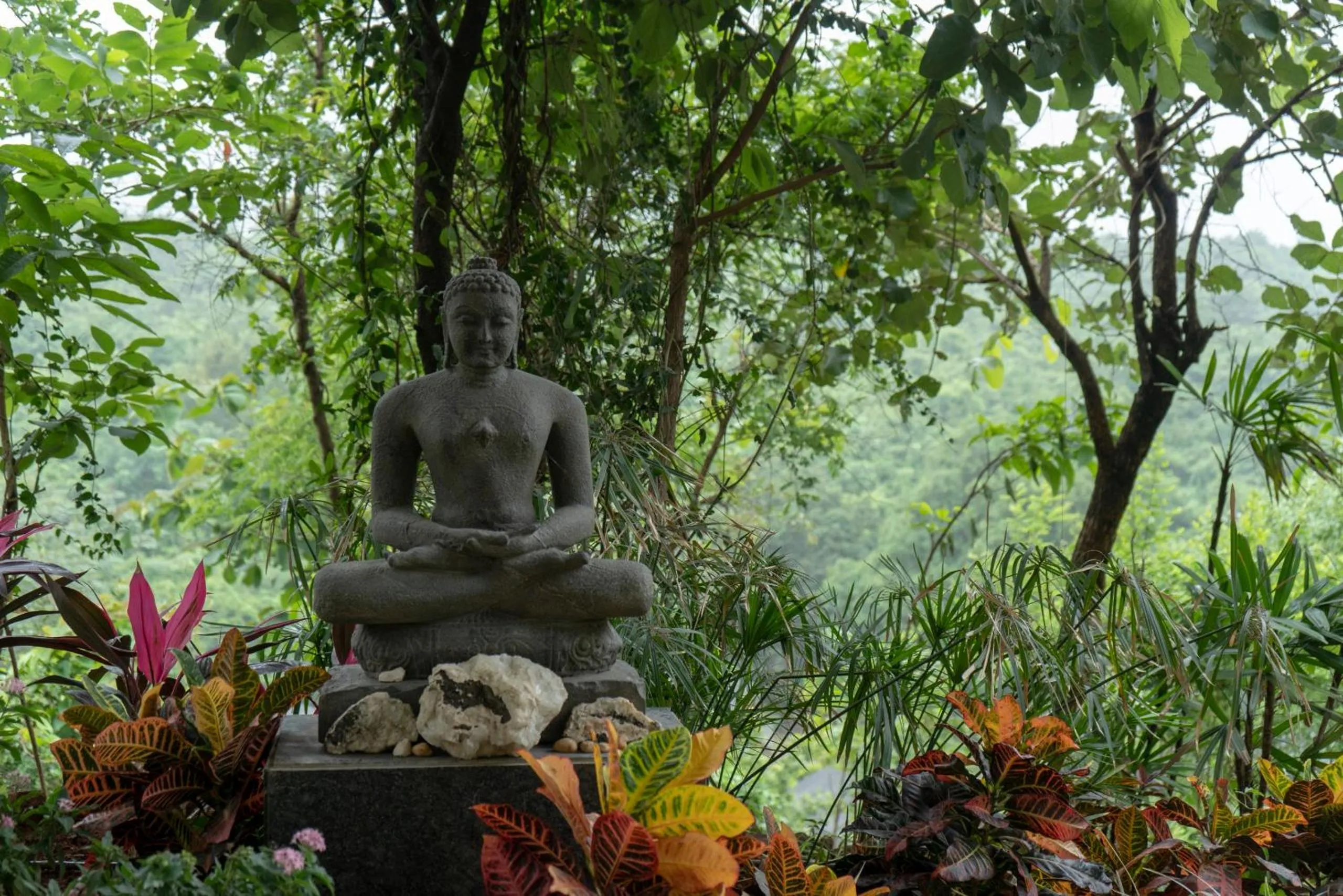 Grape County Eco Resort & Spa, Nashik