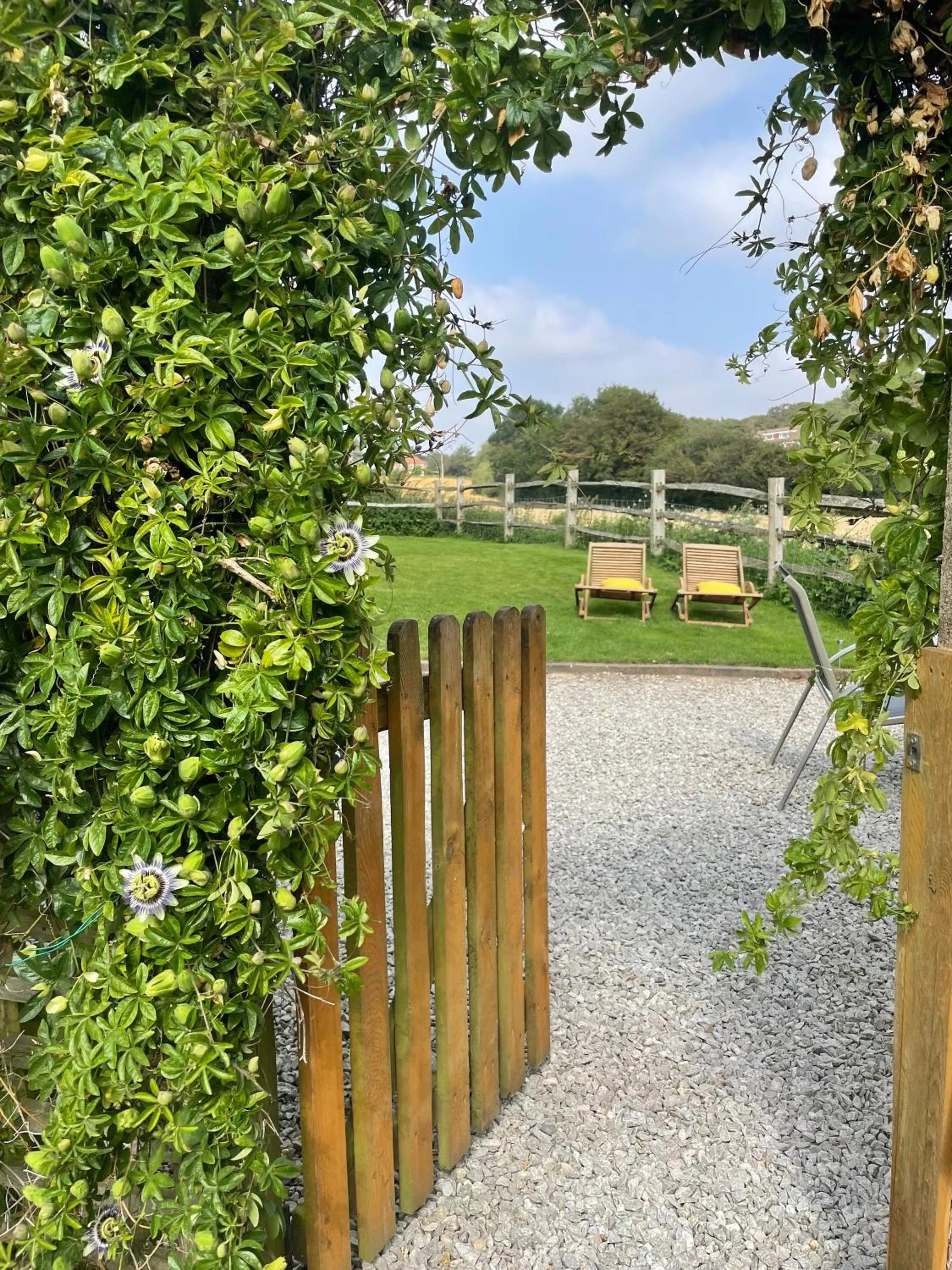 Natural landscape in Holmdale Holiday Cottages
