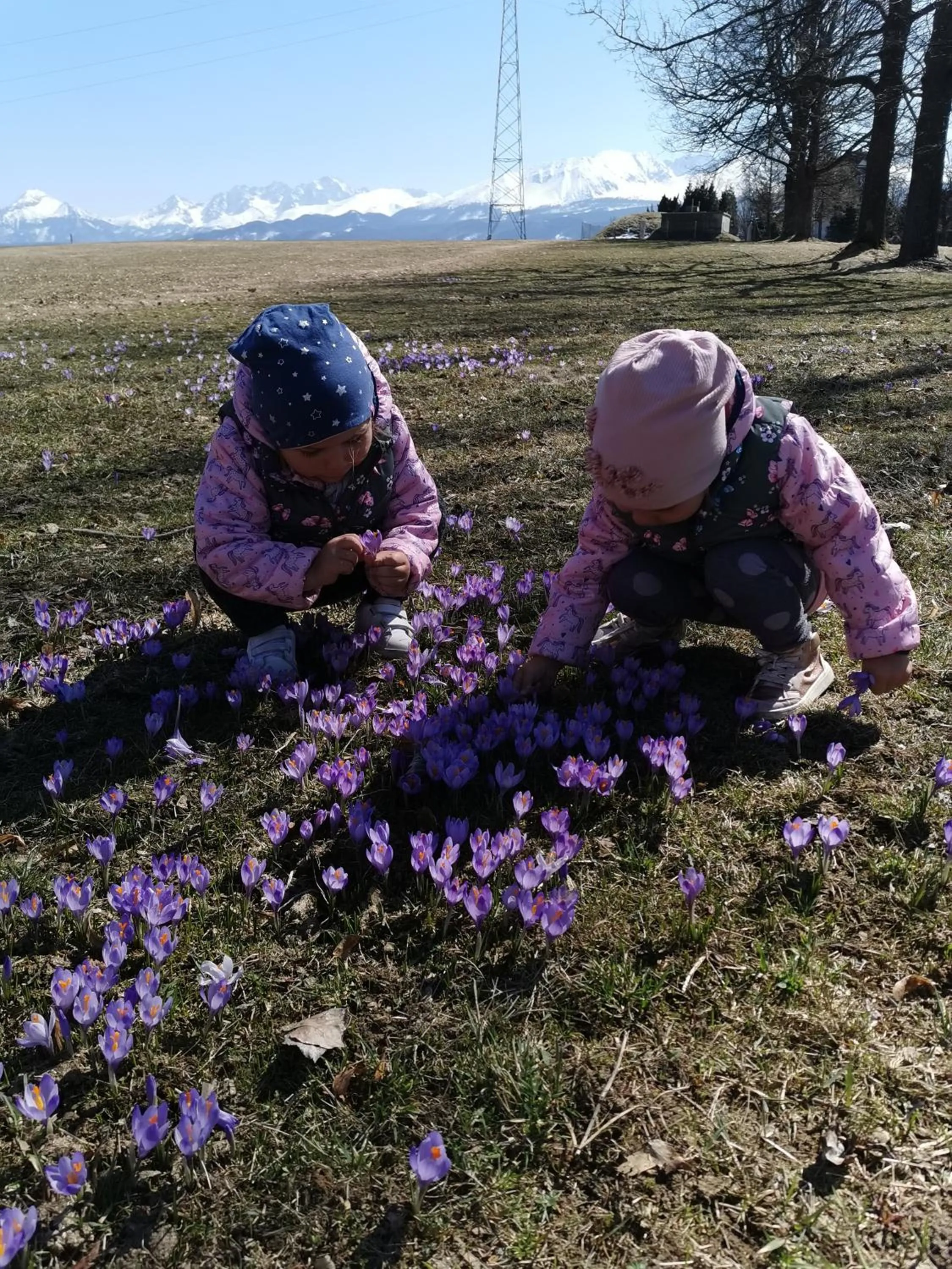 Spring in Dom Wczasowy Na Szczycie