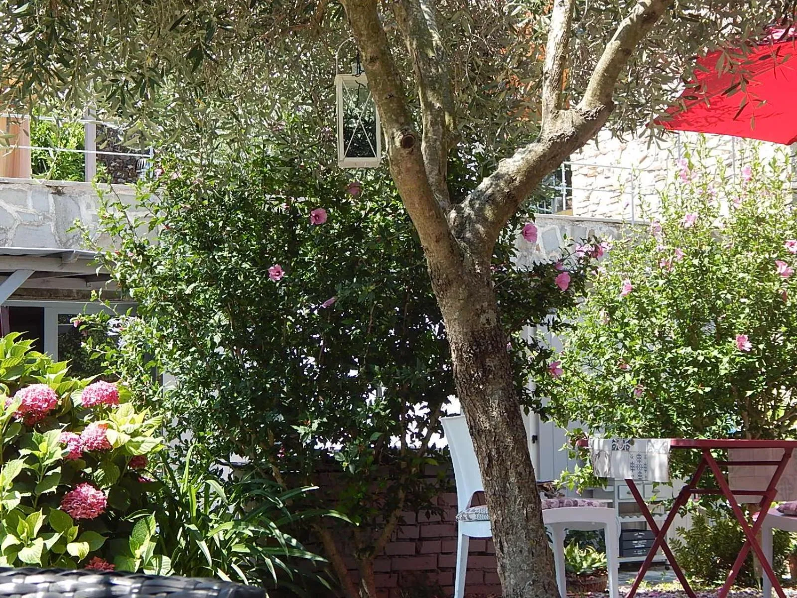 Garden in B&B Piè del Castello