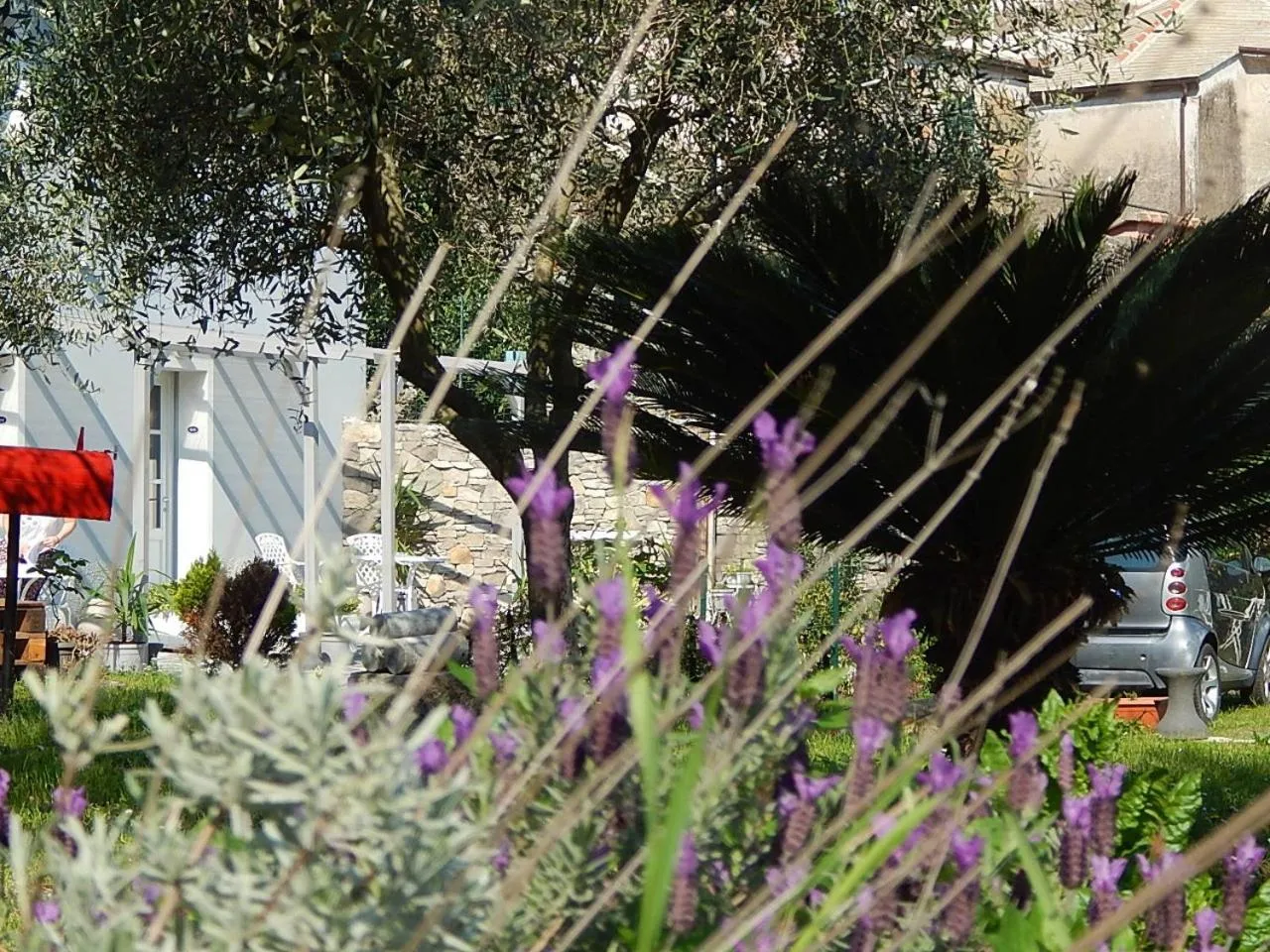 Garden in B&B Piè del Castello