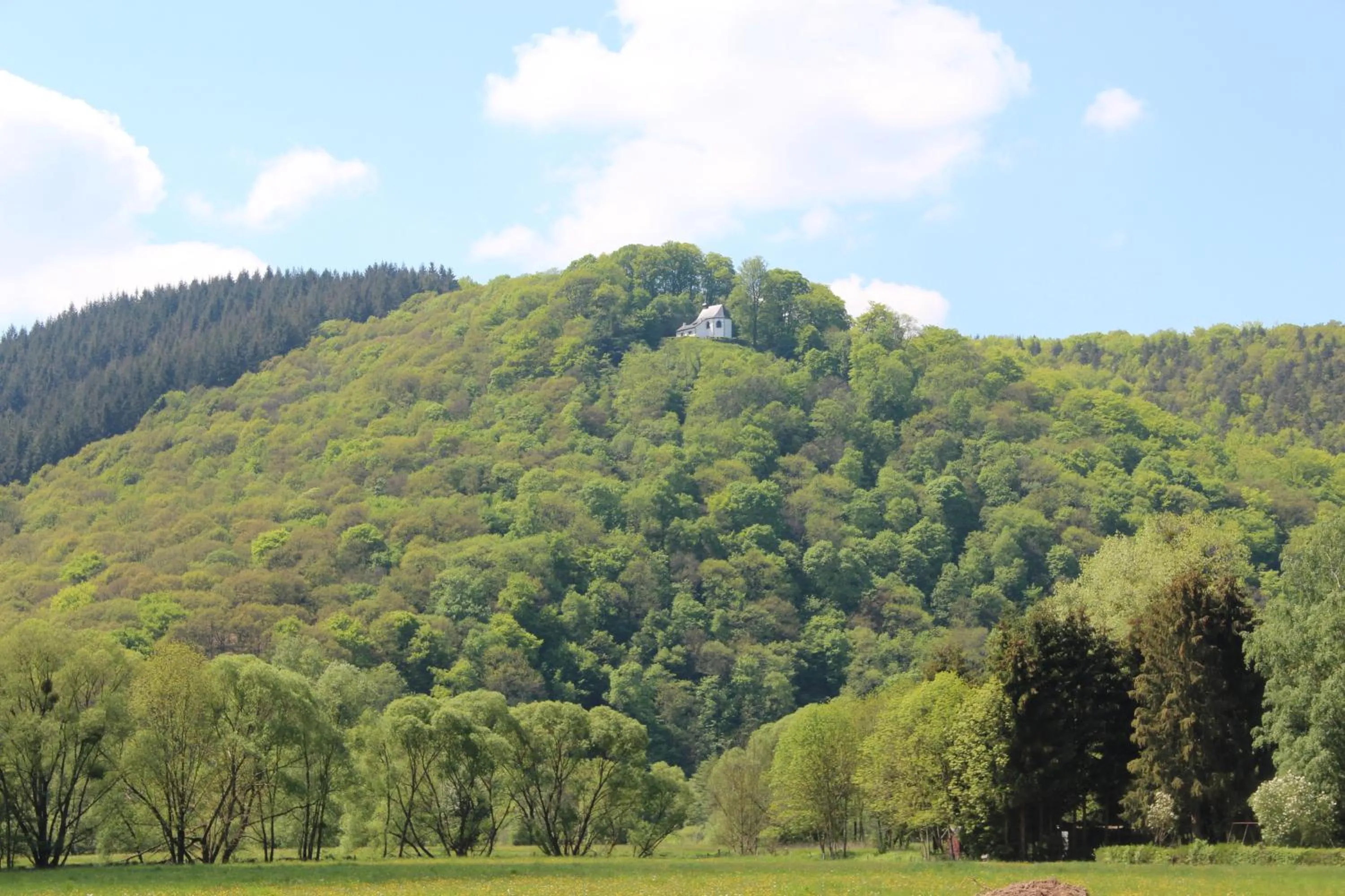 Area and facilities in Hotel - La Grande Cure