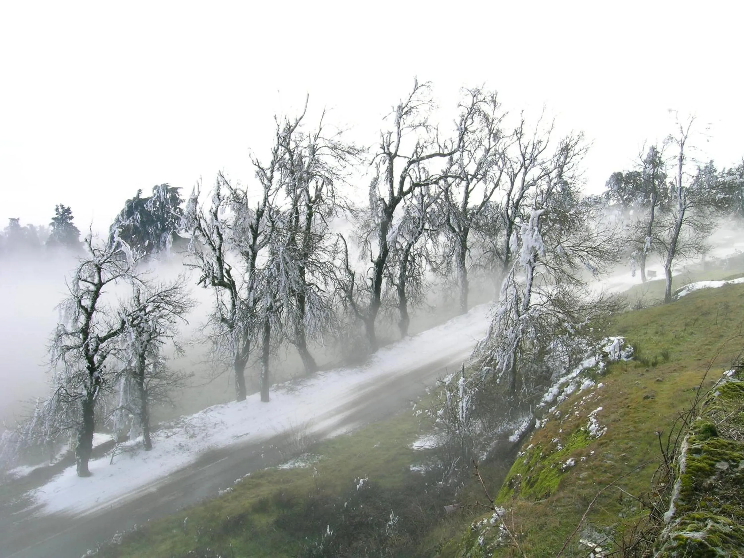 Other in Solar Sampaio e Melo