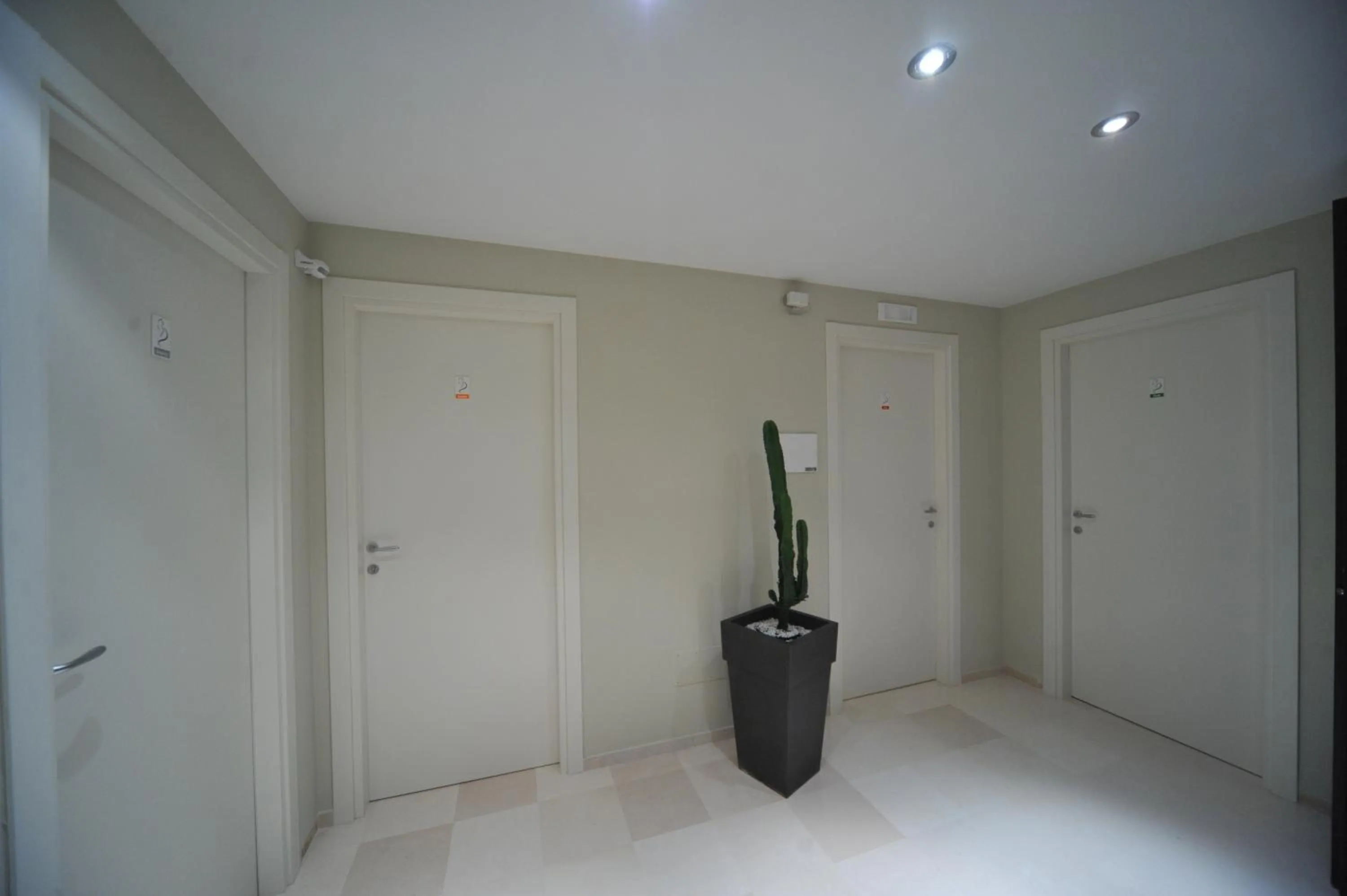 Decorative detail in Gatto Bianco House