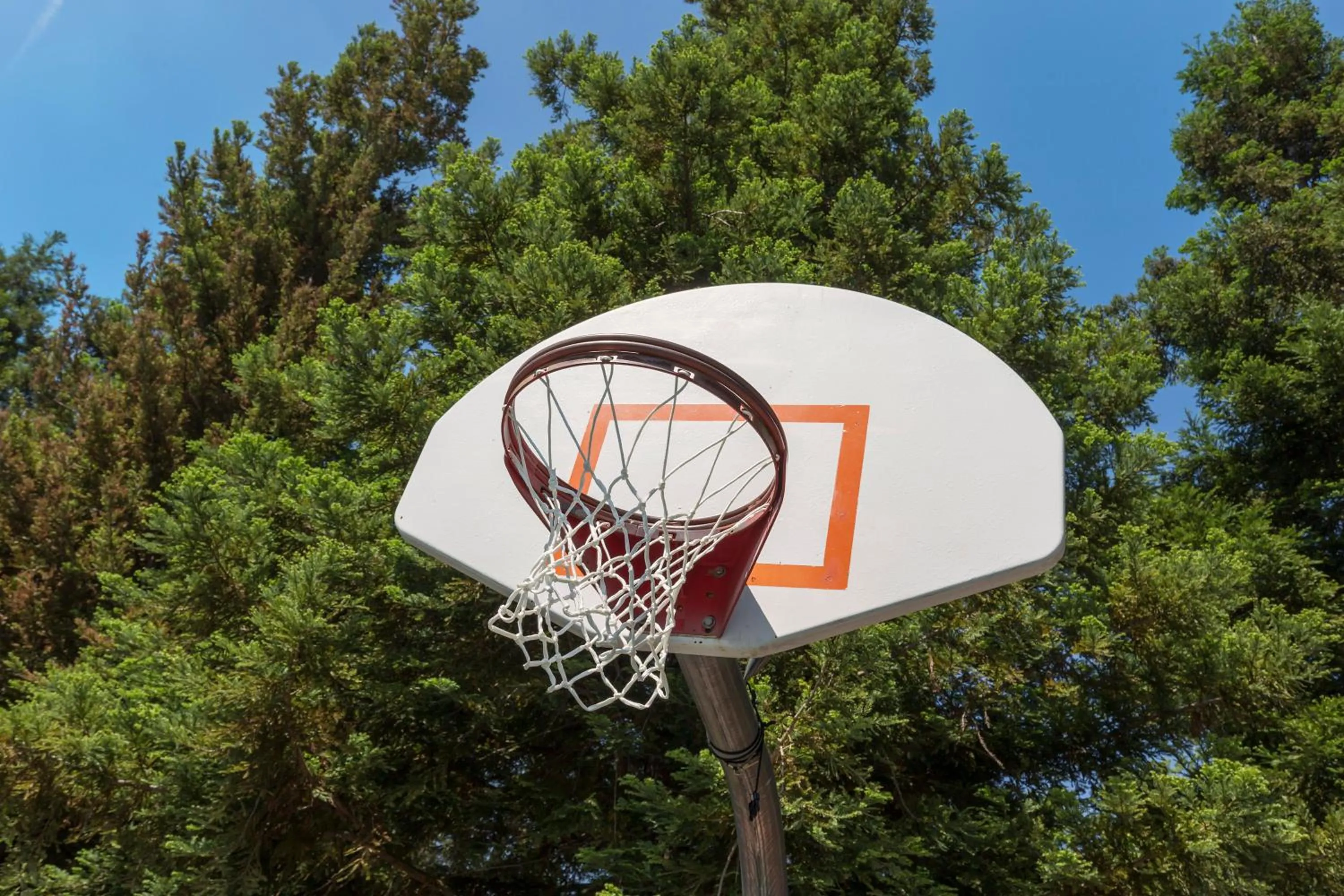 Sports in WorldMark Bass Lake