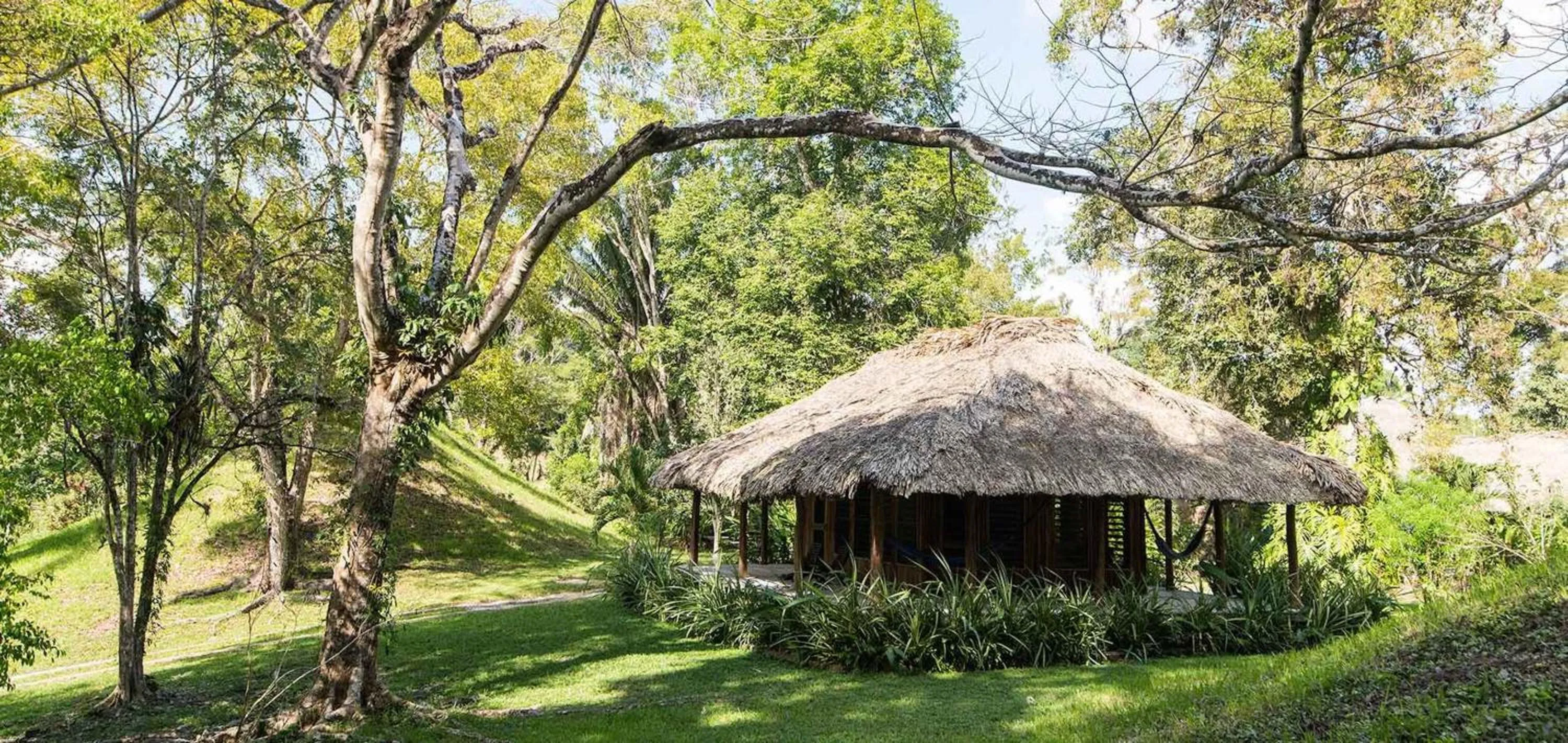Garden view in Chan Chich Lodge