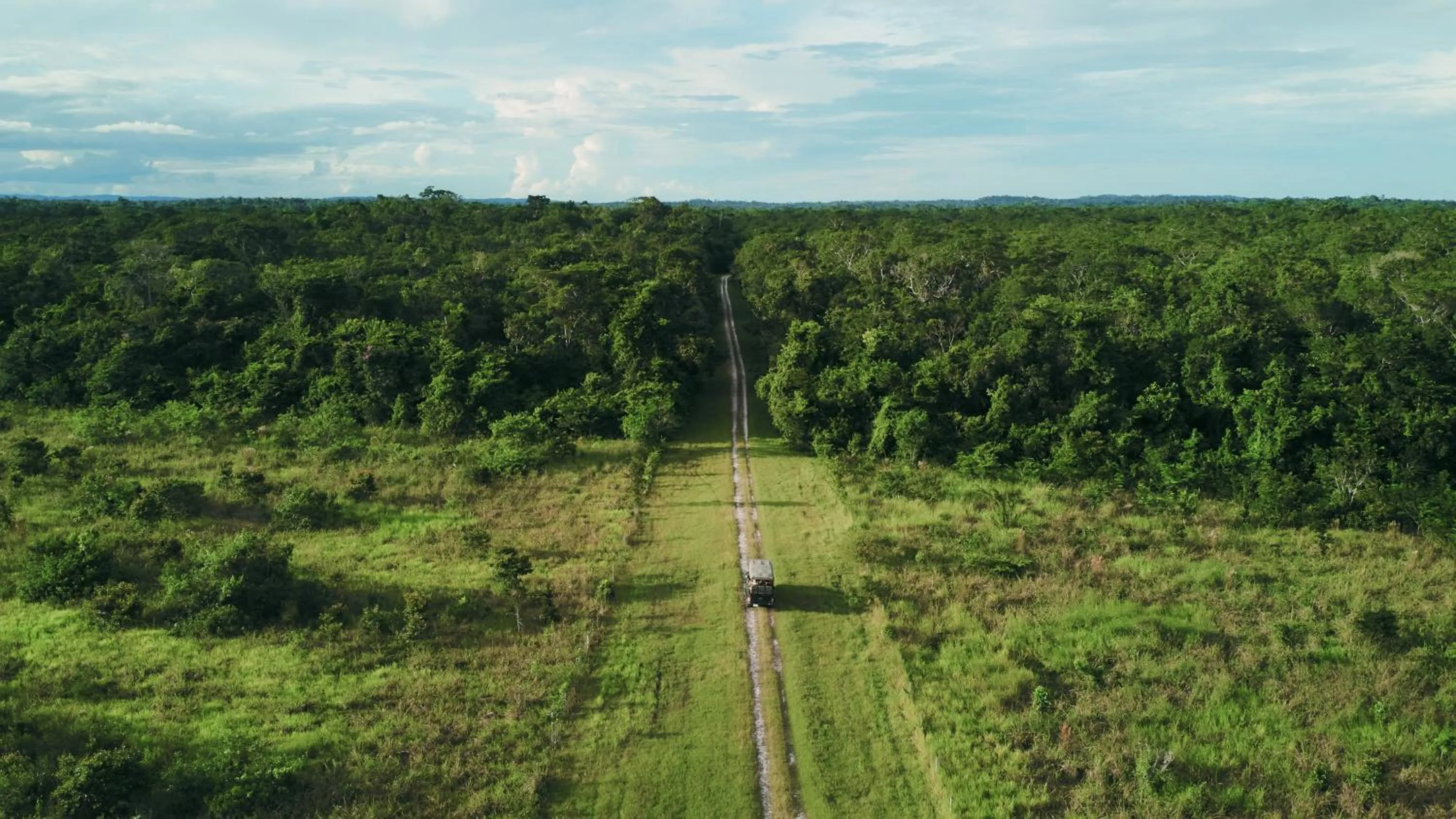 View (from property/room) in Chan Chich Lodge