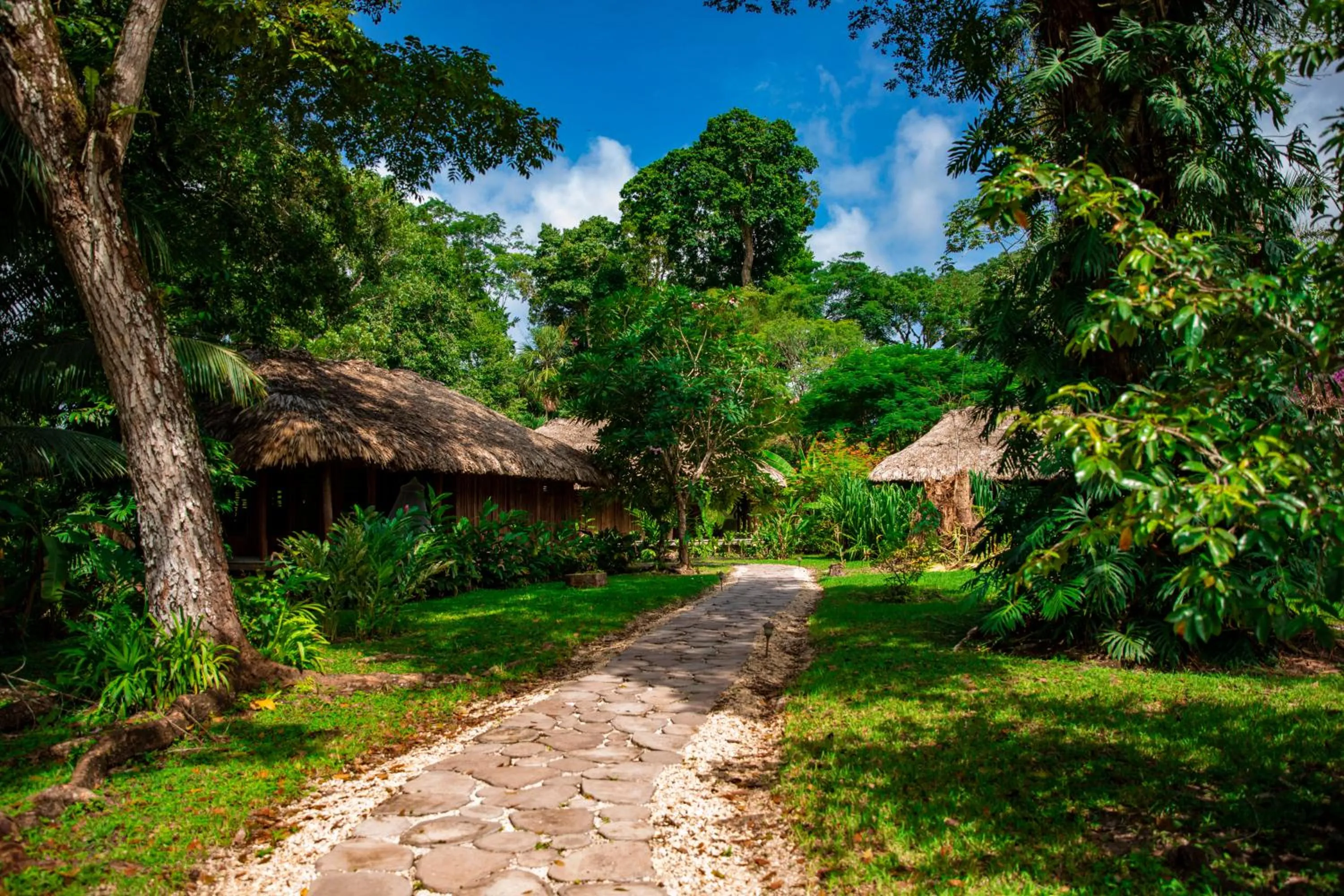 View (from property/room) in Chan Chich Lodge