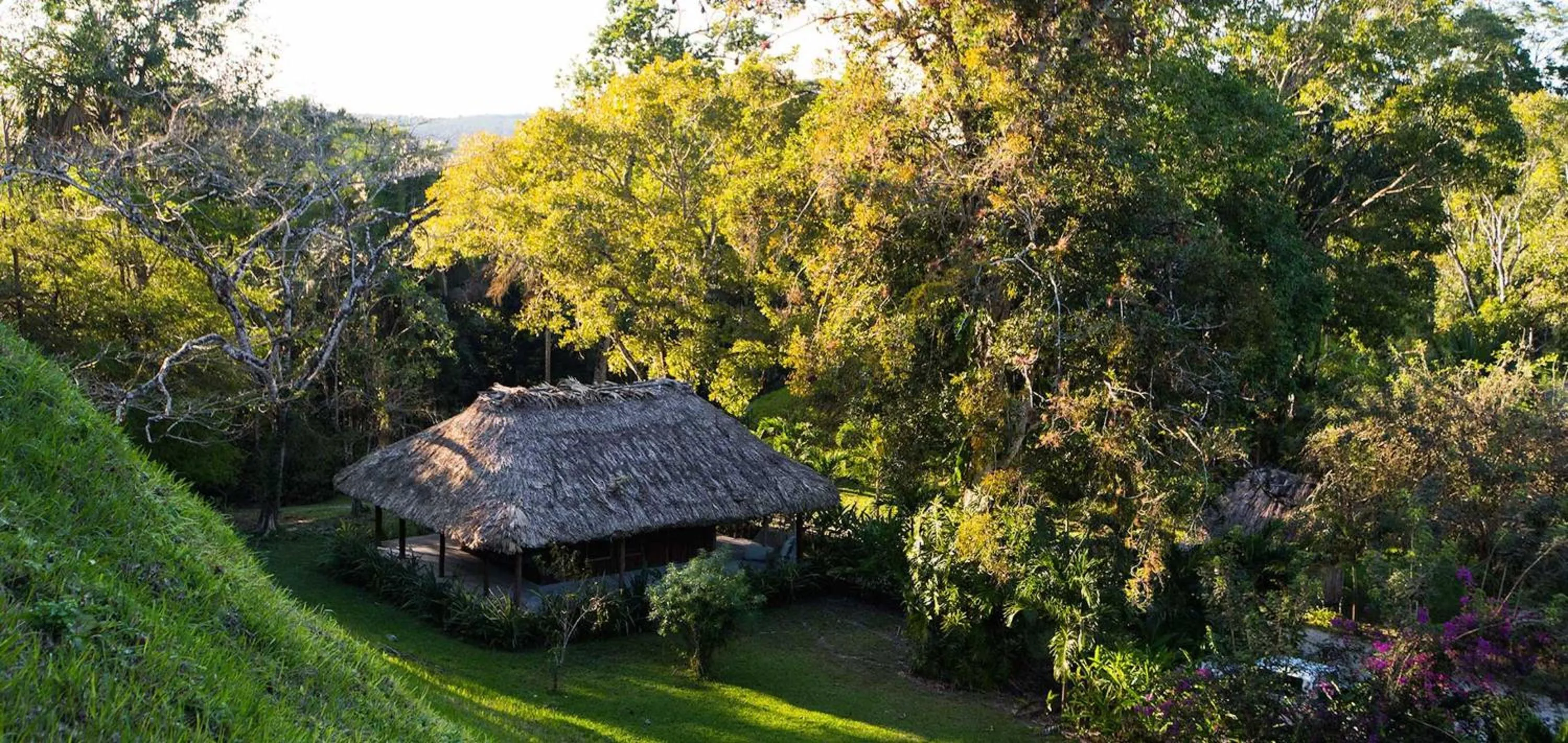 Garden view in Chan Chich Lodge