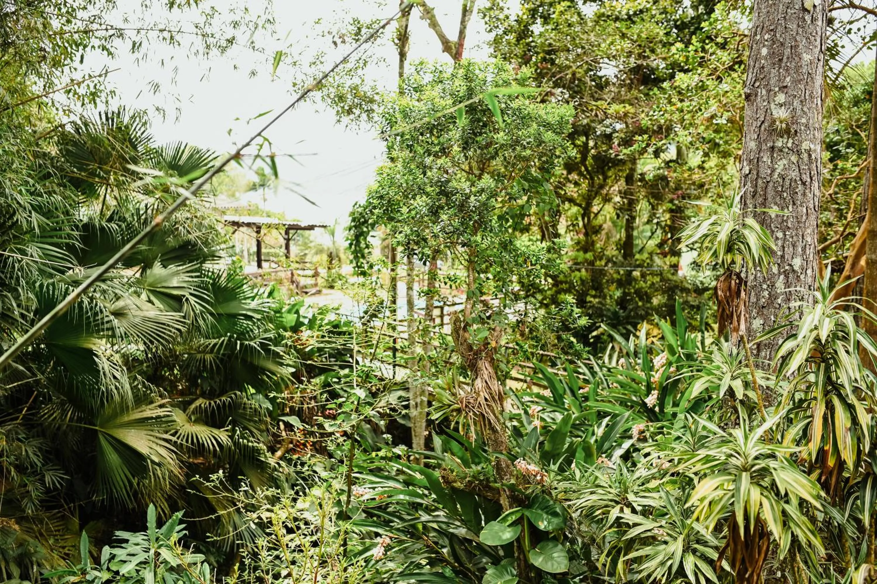 Garden in Pousada Nosso Bosque