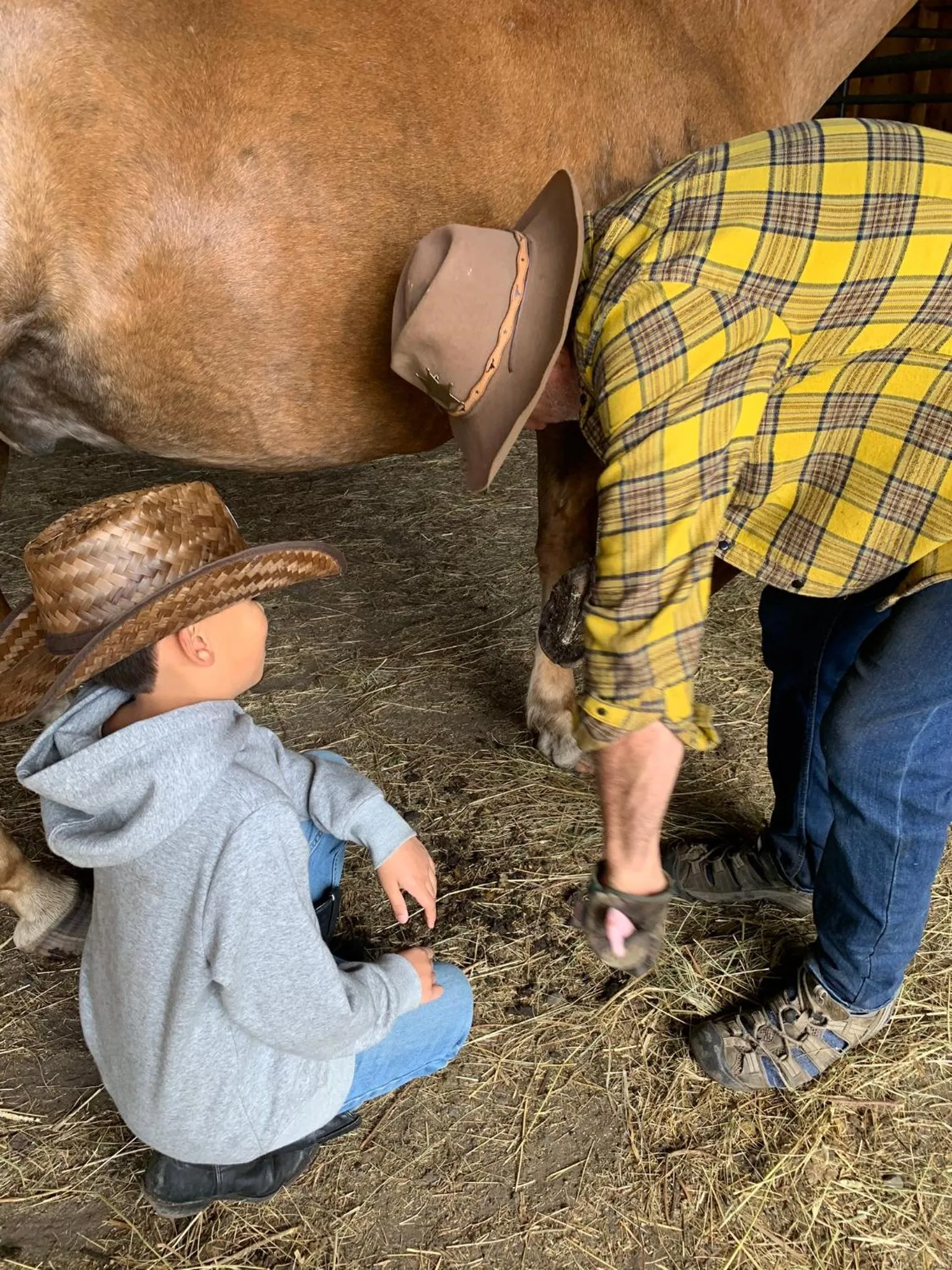 Montana Hill Guest Ranch