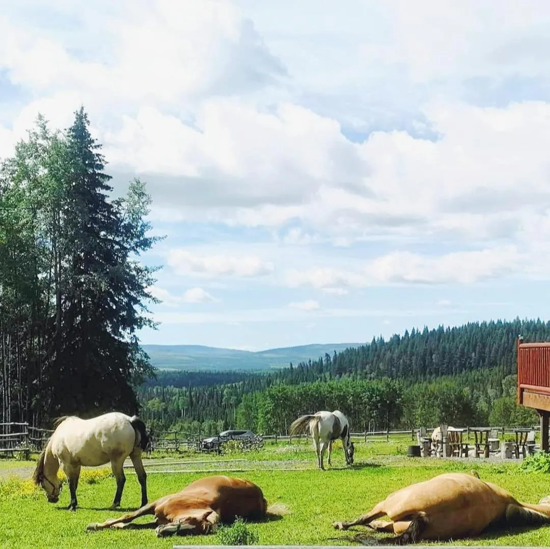 Montana Hill Guest Ranch