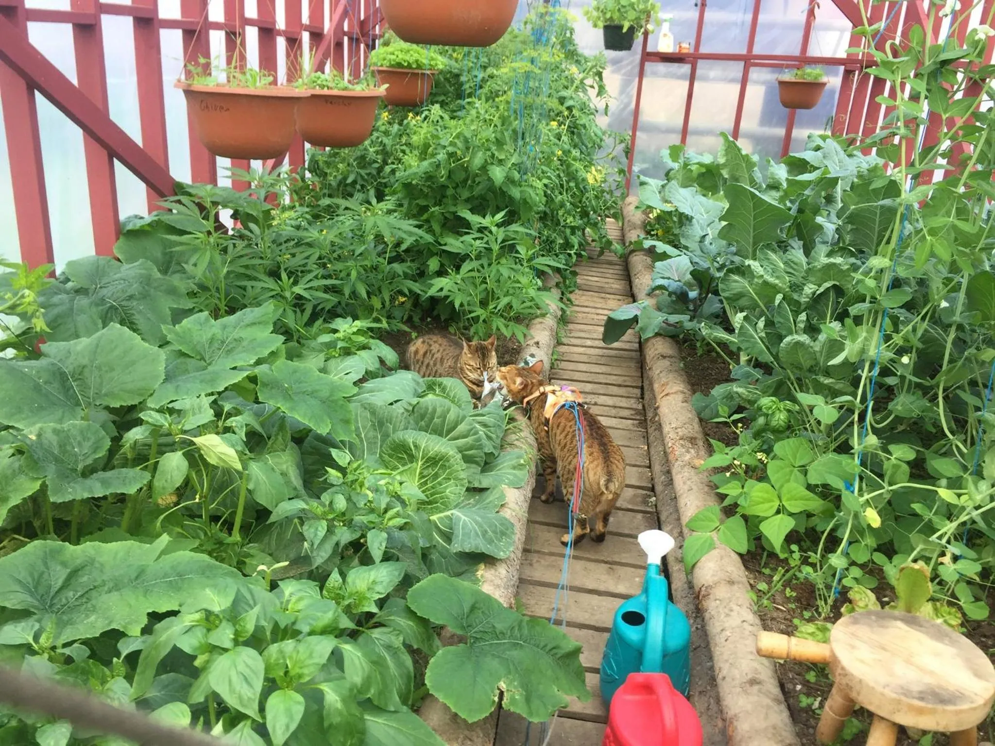 Montana Hill Guest Ranch