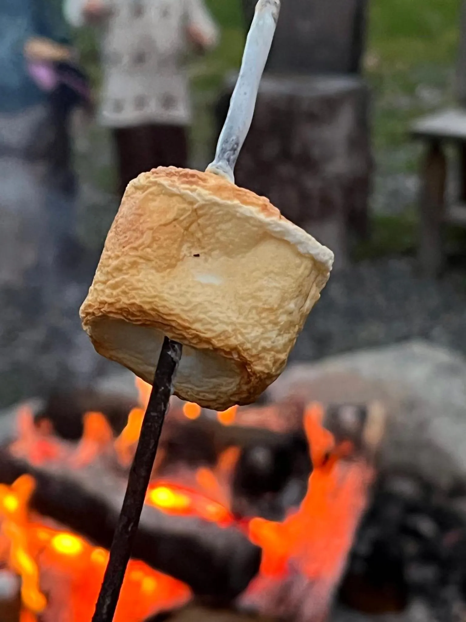 Montana Hill Guest Ranch