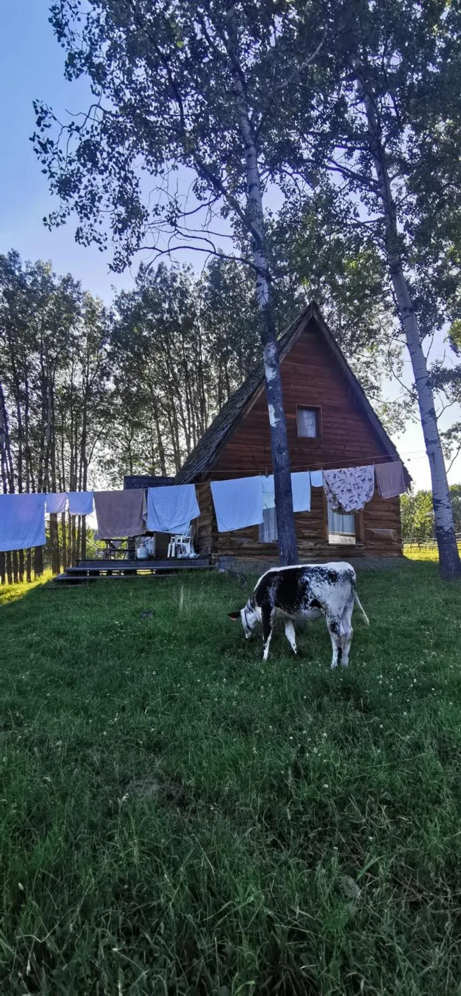 Montana Hill Guest Ranch