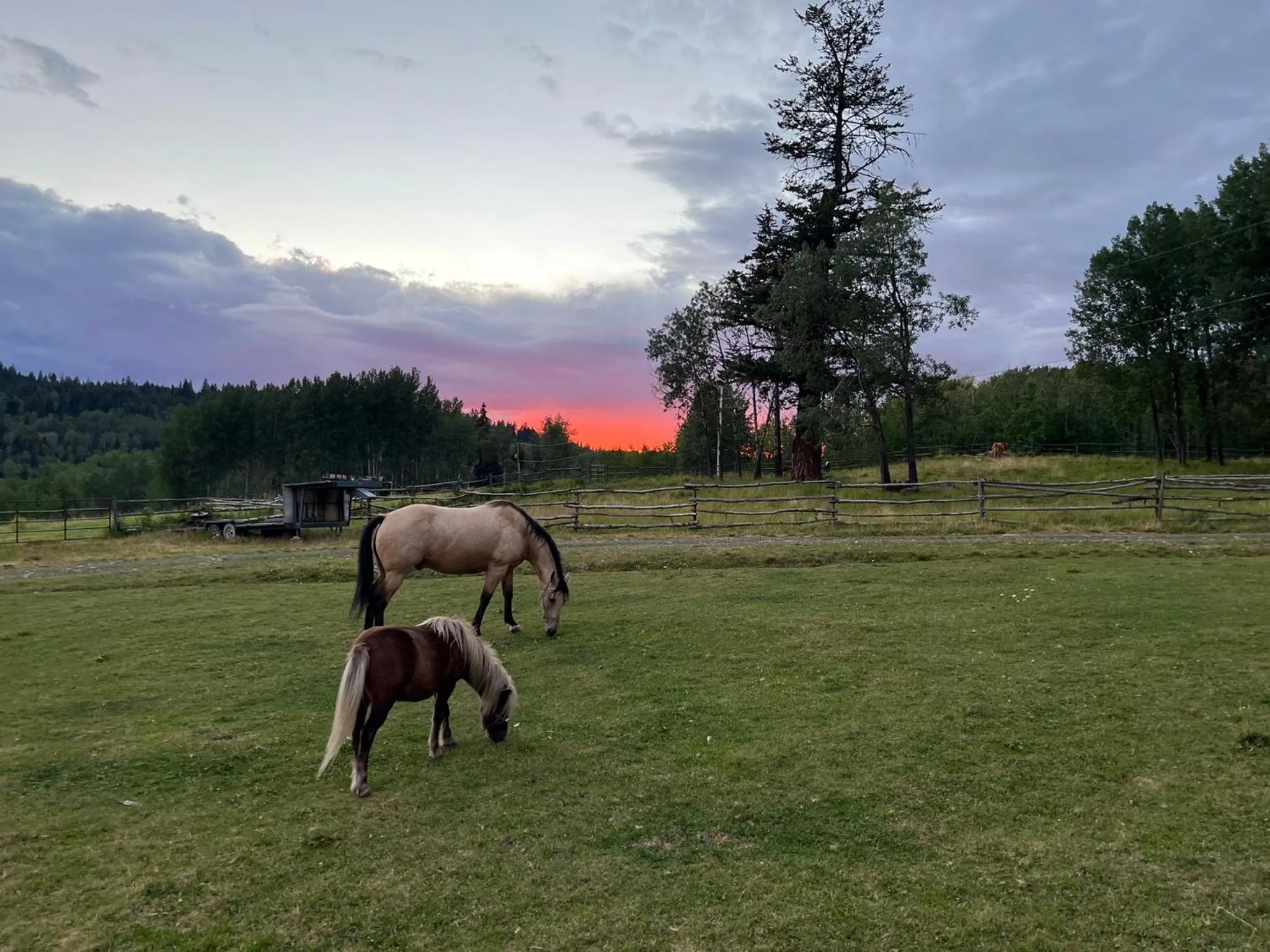 Montana Hill Guest Ranch