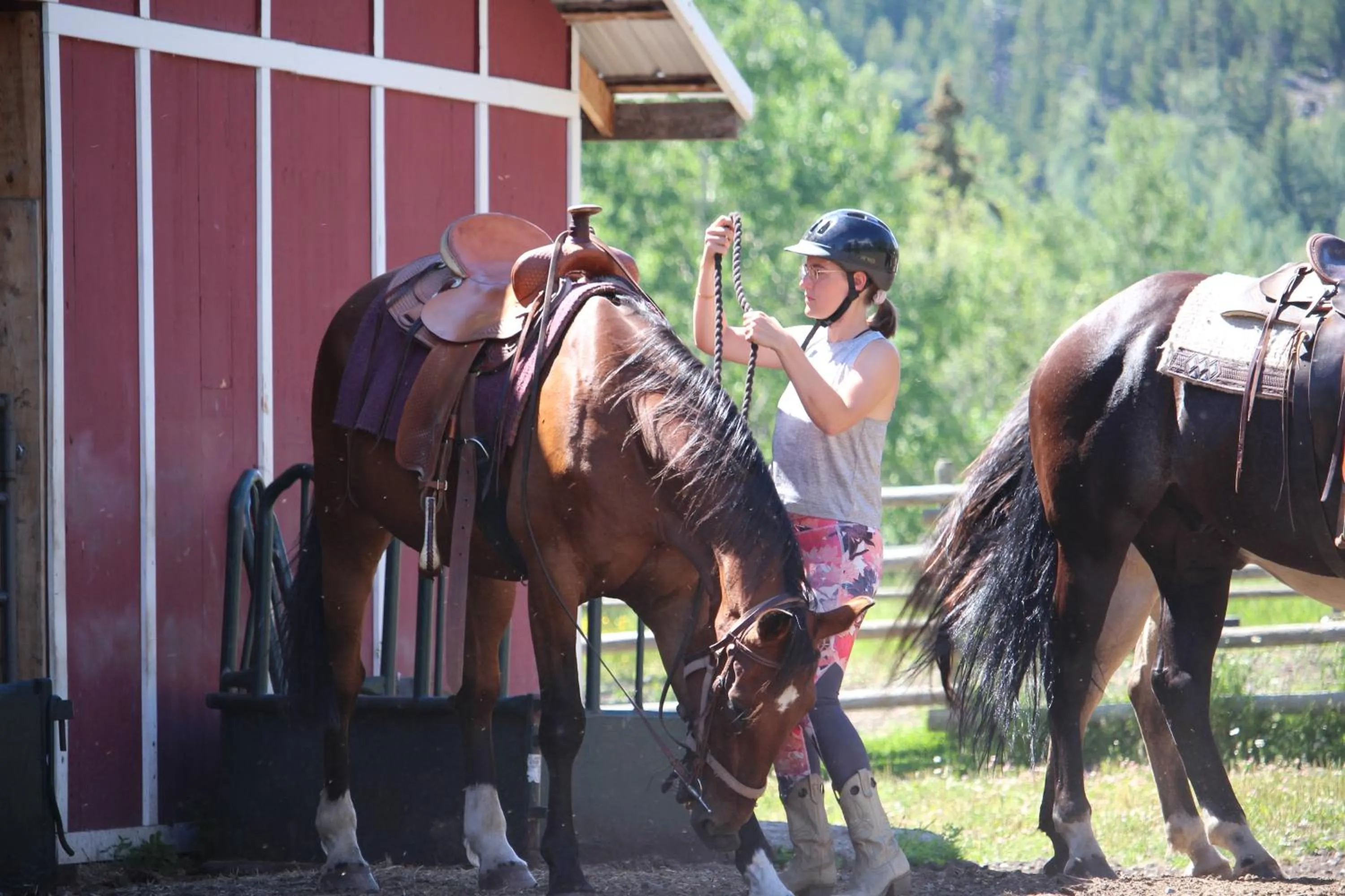 Montana Hill Guest Ranch