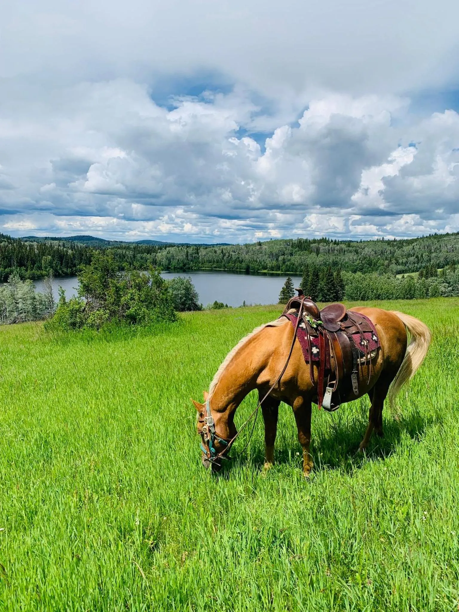Montana Hill Guest Ranch