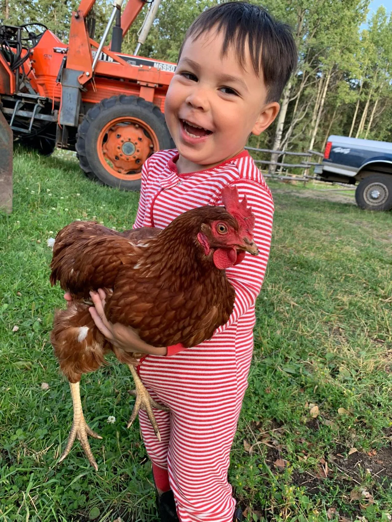 Montana Hill Guest Ranch