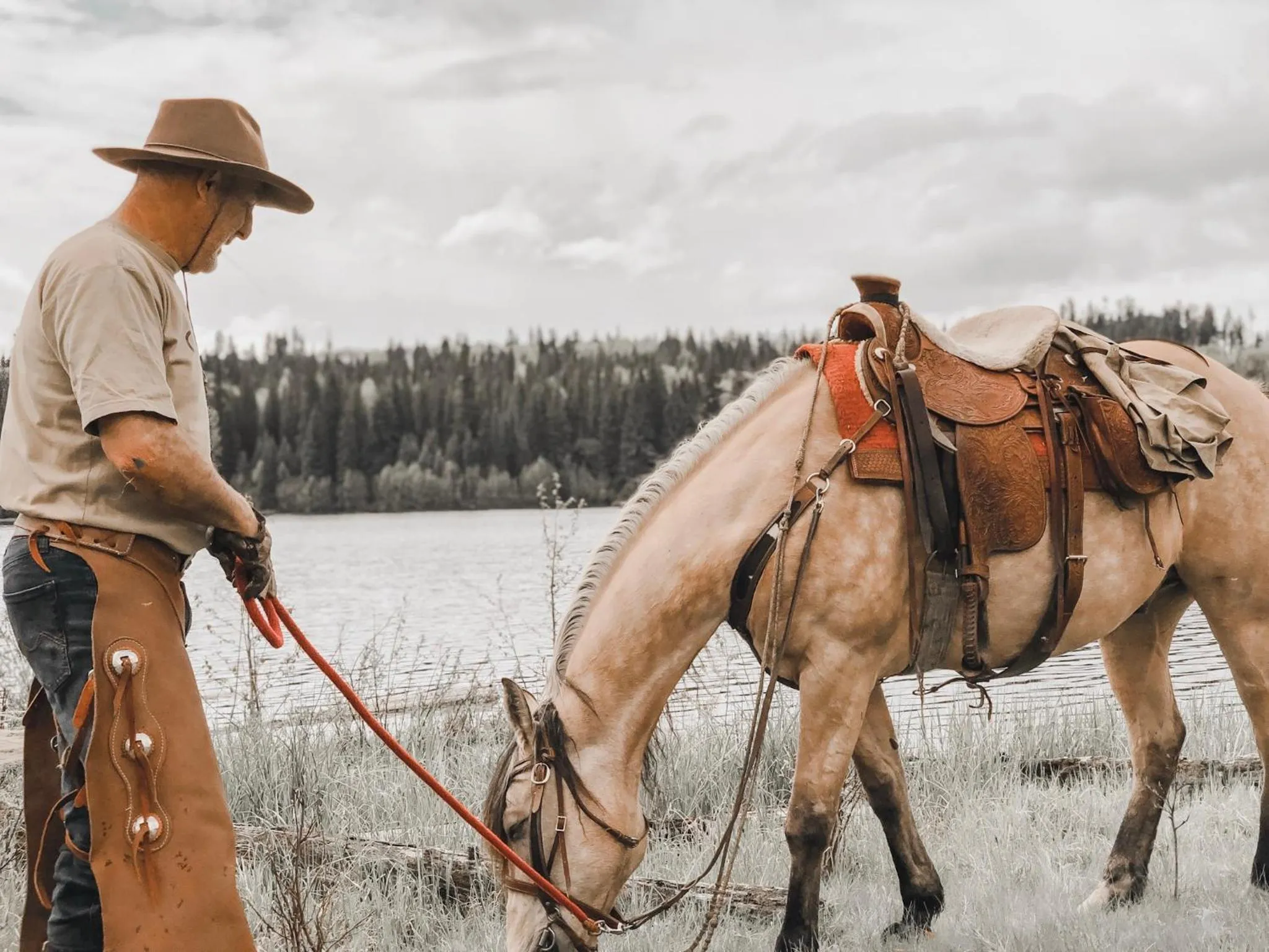 Montana Hill Guest Ranch