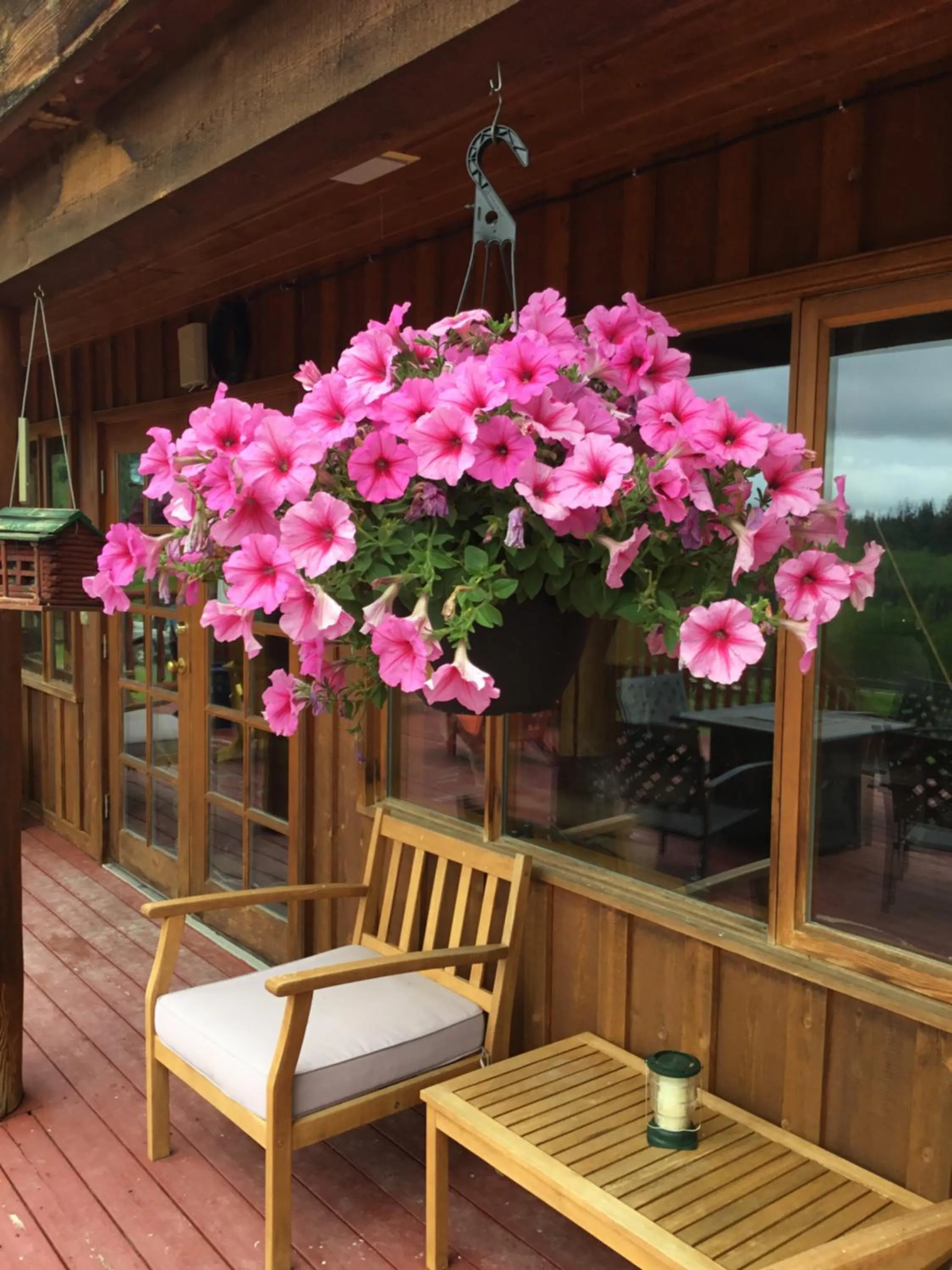 Montana Hill Guest Ranch