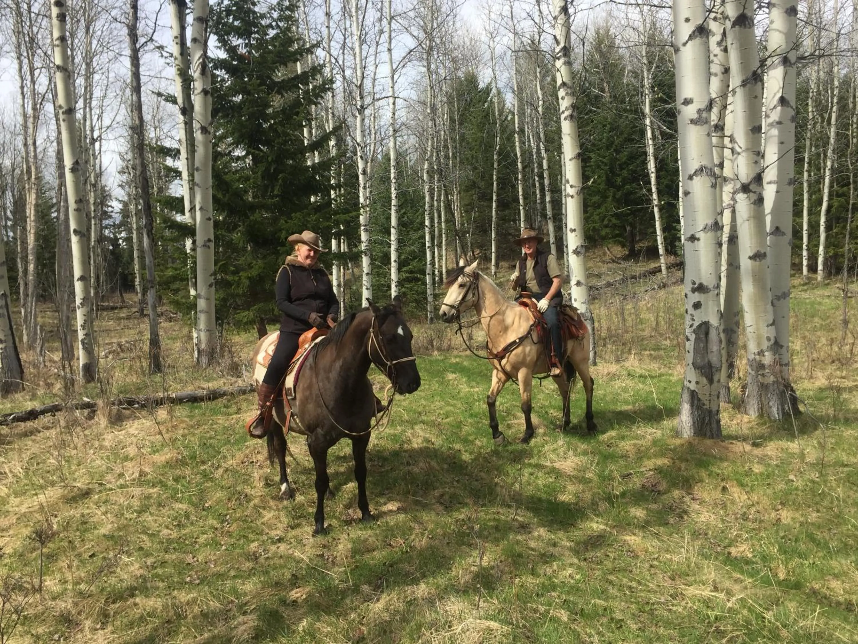 Horse-riding in Montana Hill Guest Ranch