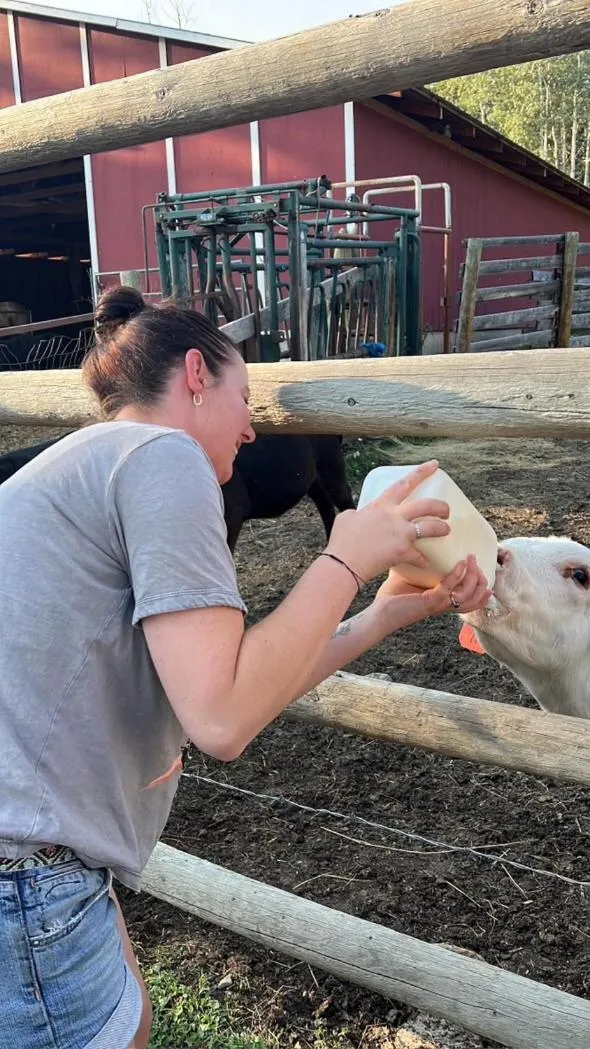 Montana Hill Guest Ranch