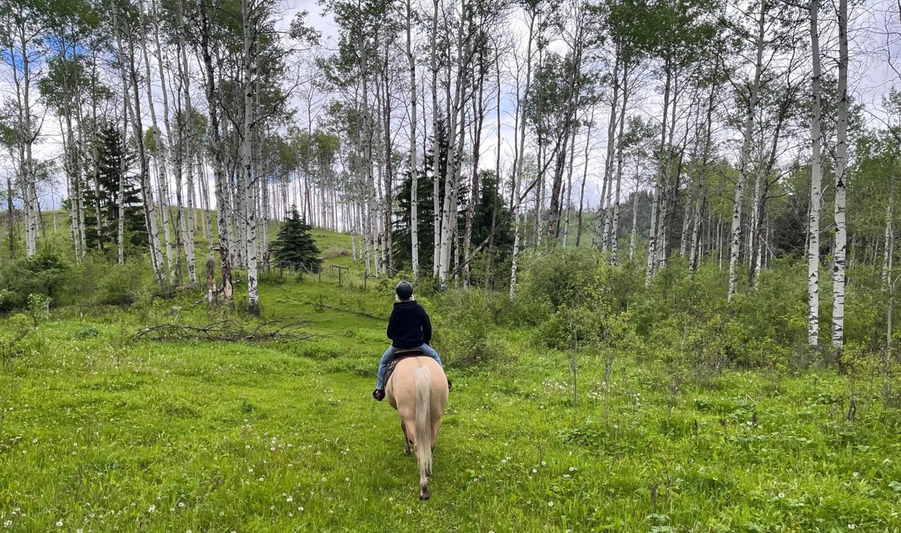 Montana Hill Guest Ranch