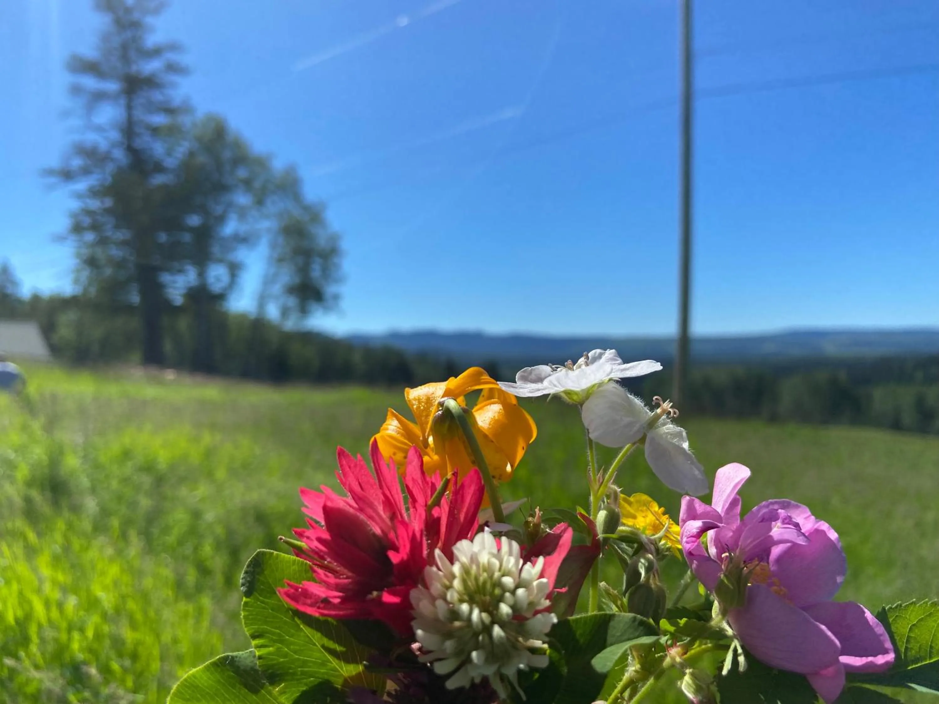 Montana Hill Guest Ranch