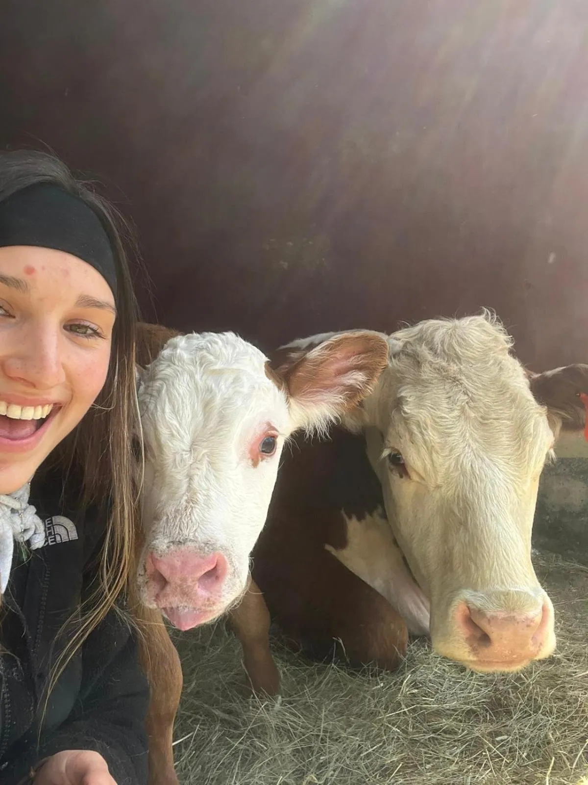 Montana Hill Guest Ranch