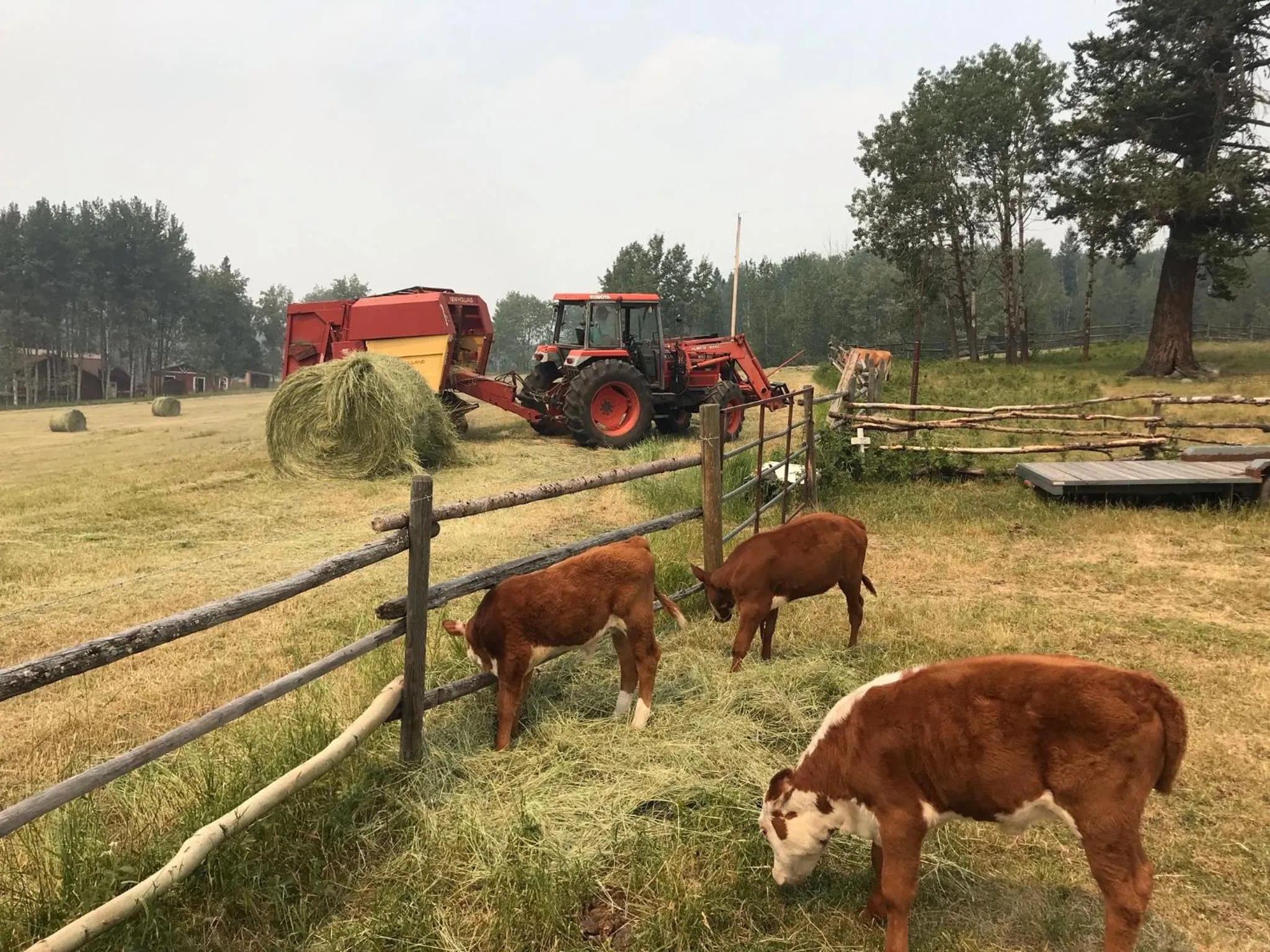 Montana Hill Guest Ranch