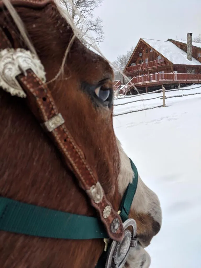 Montana Hill Guest Ranch