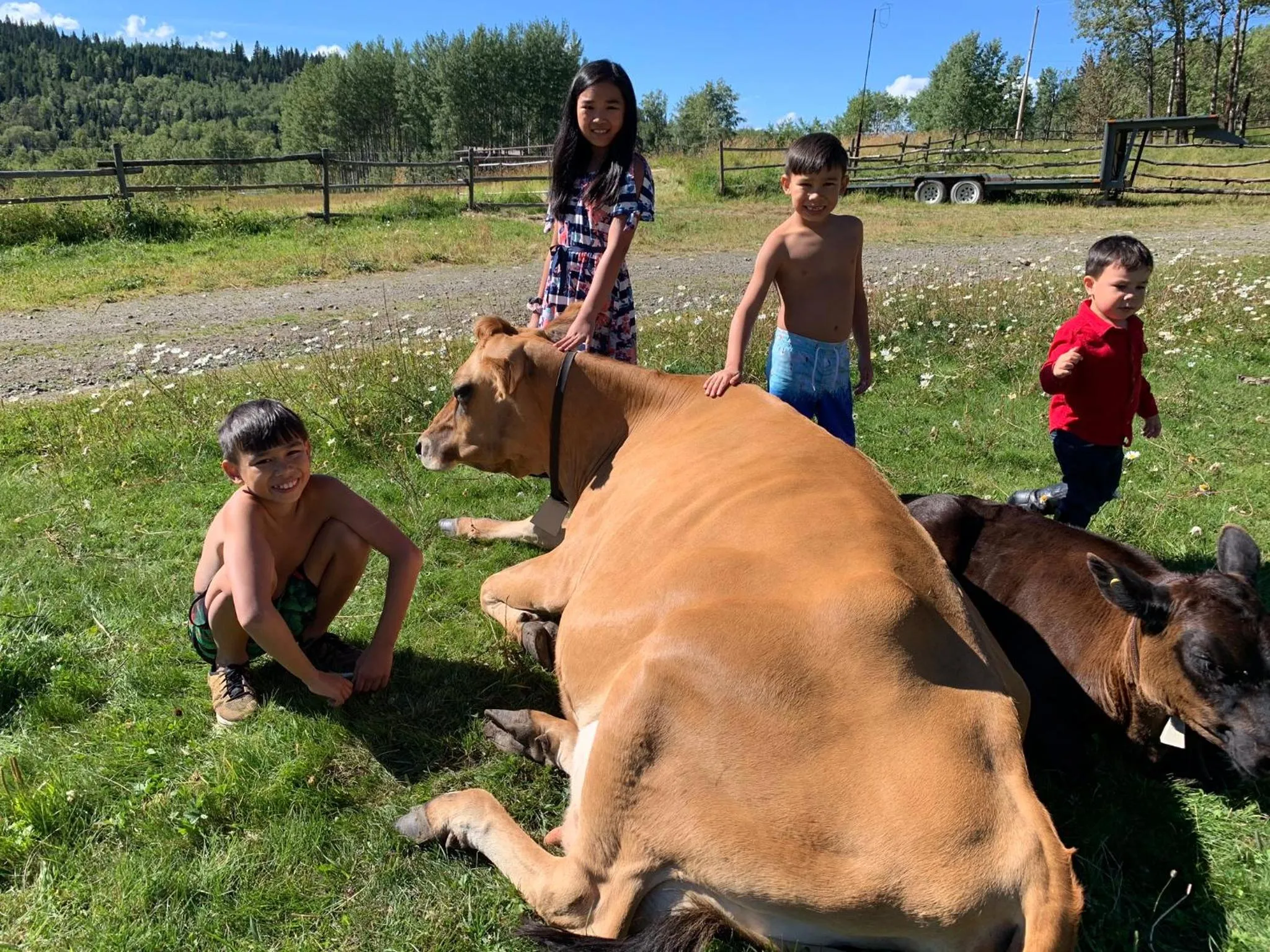 Montana Hill Guest Ranch