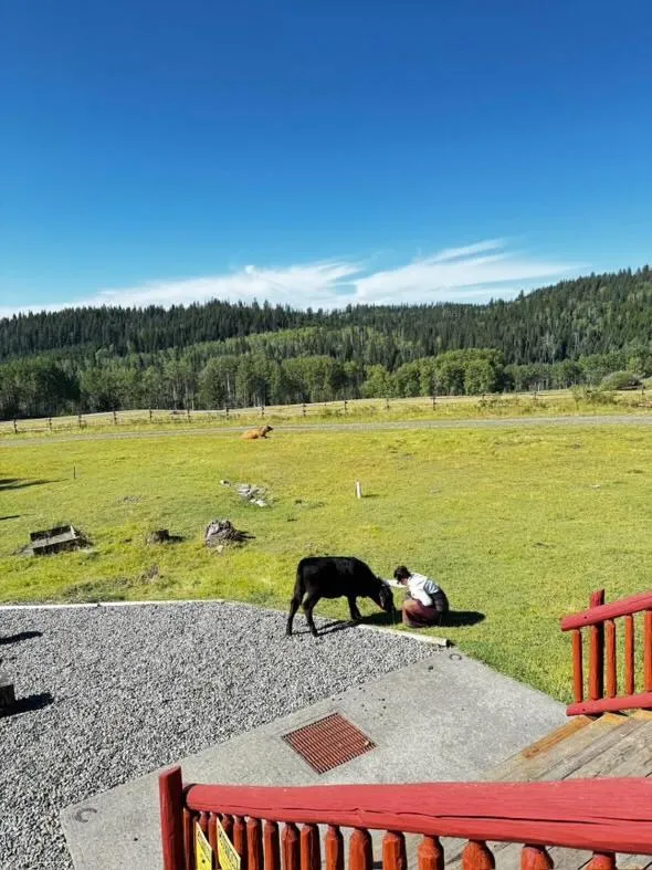 Montana Hill Guest Ranch