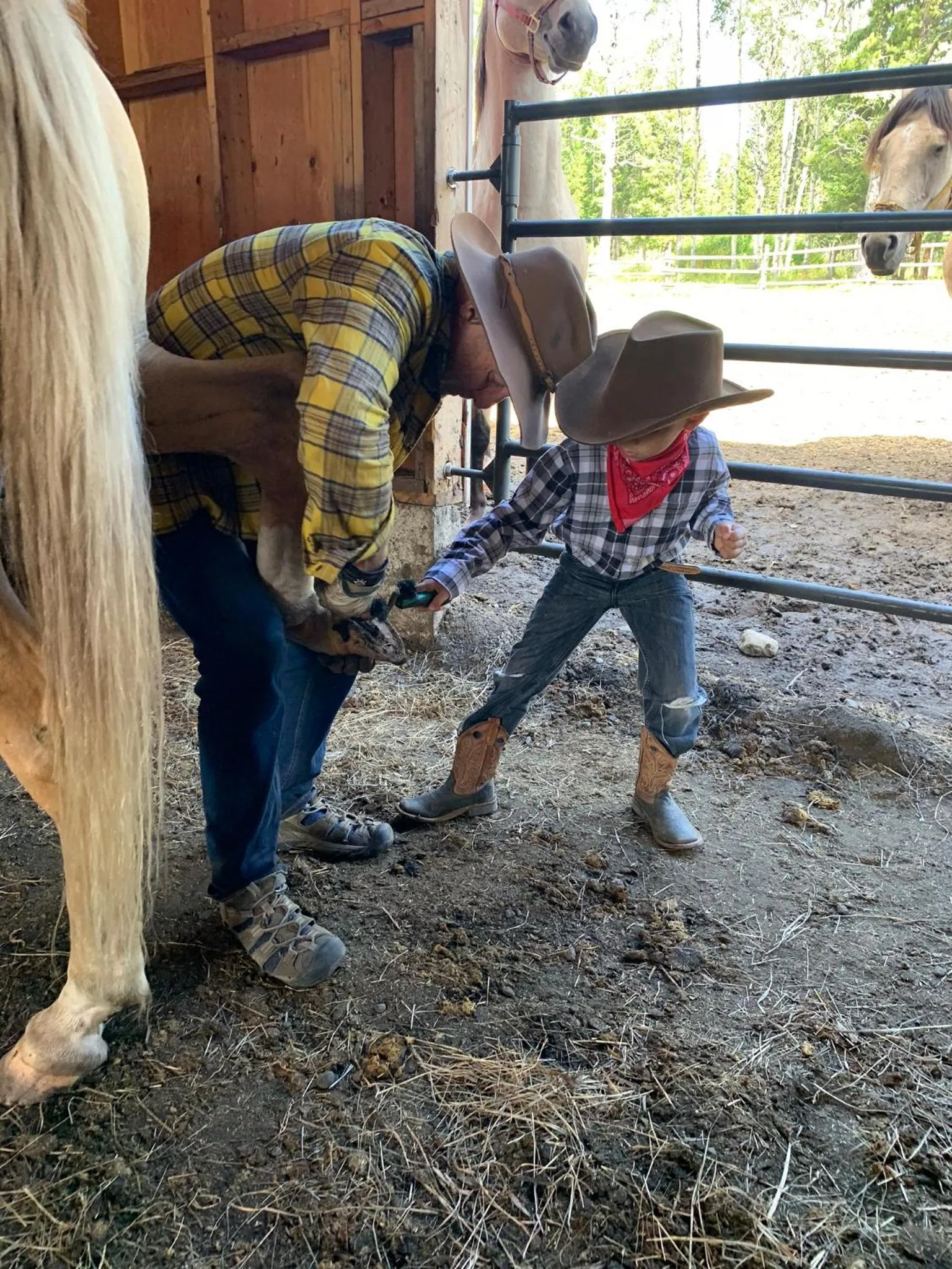 Montana Hill Guest Ranch