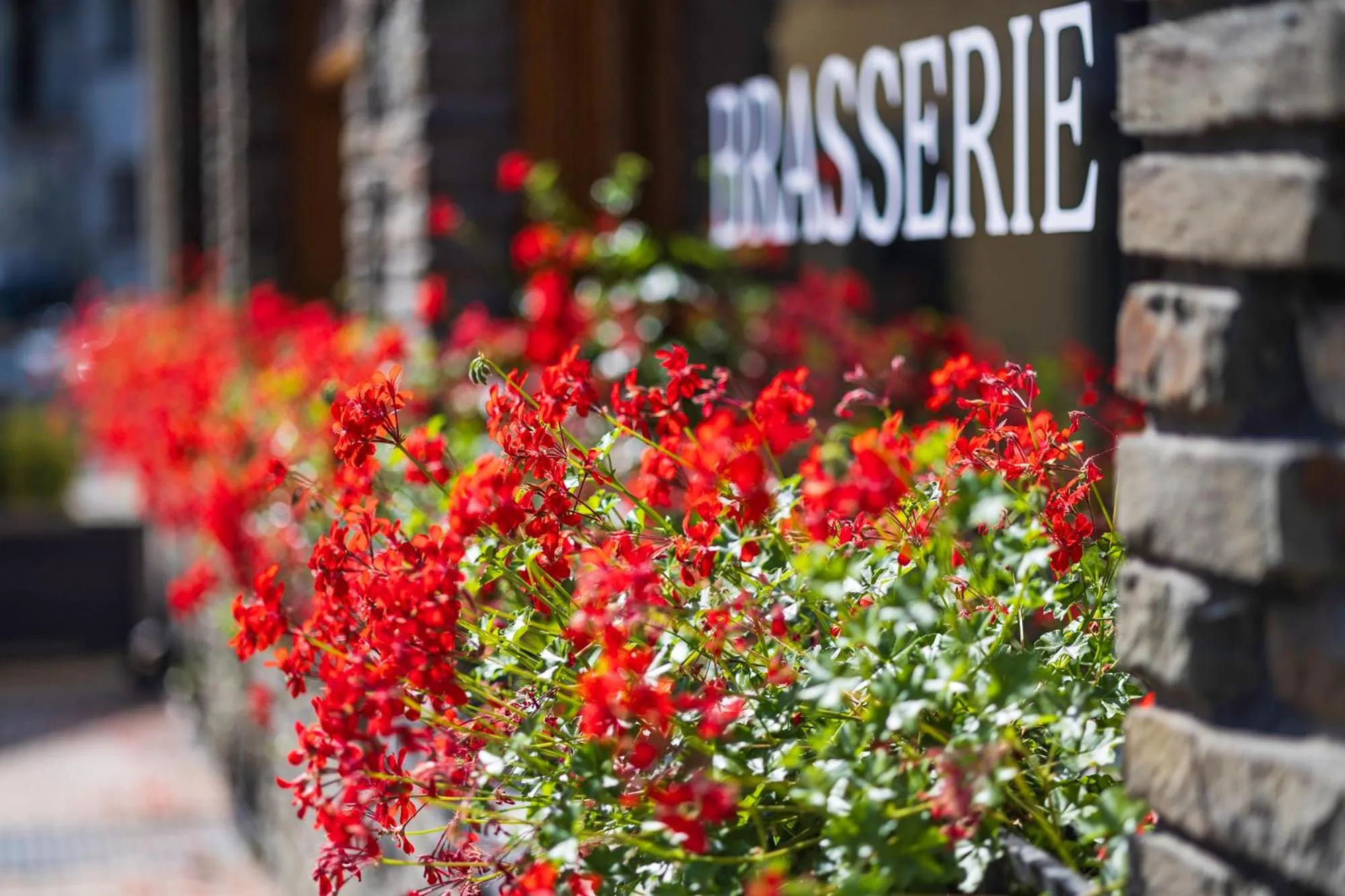 Restaurant/places to eat in Hotel du Commerce