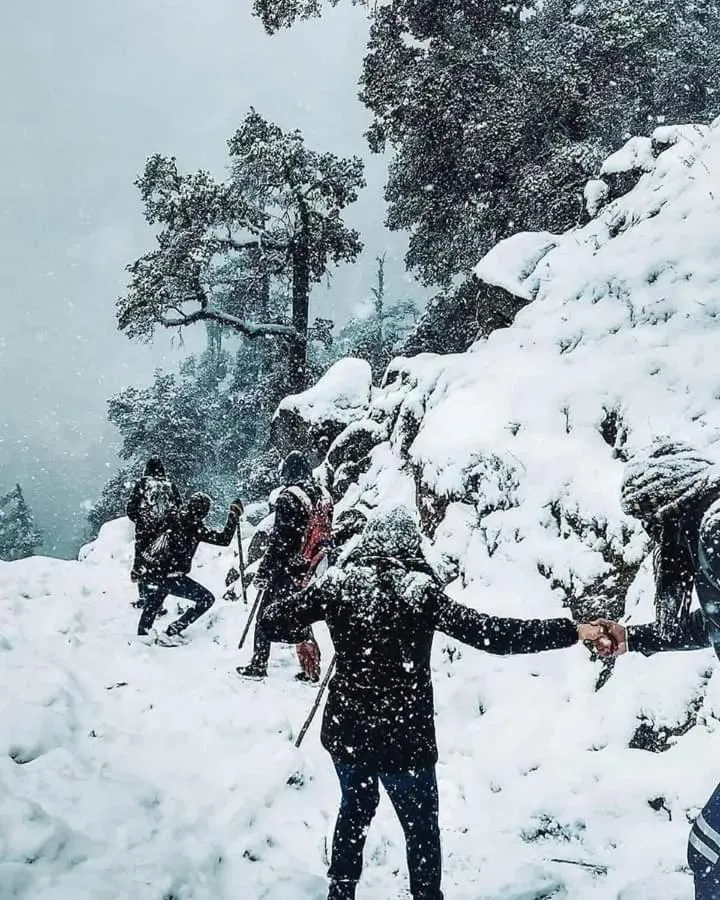 Winter in Trimurti Pine Valley Resort