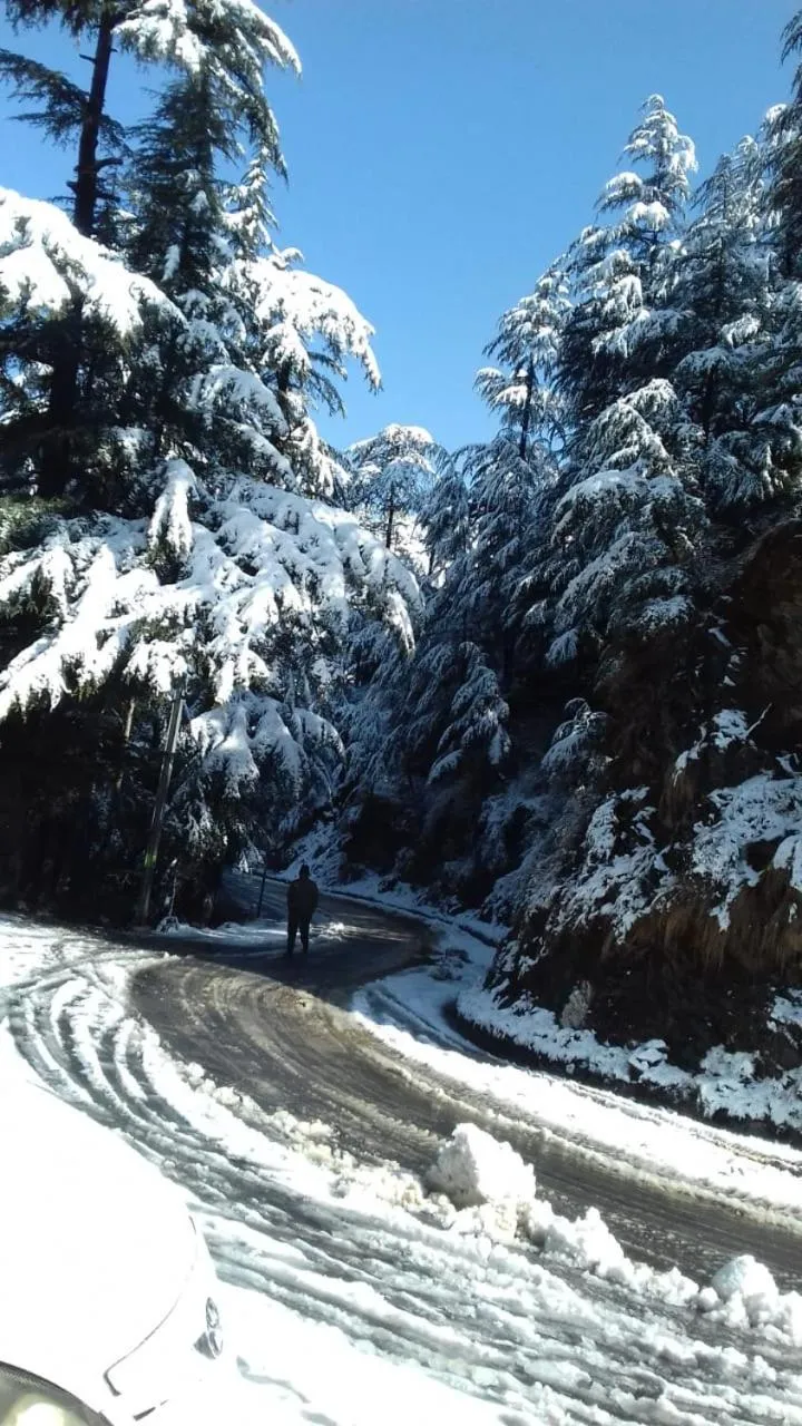 Winter in Trimurti Pine Valley Resort