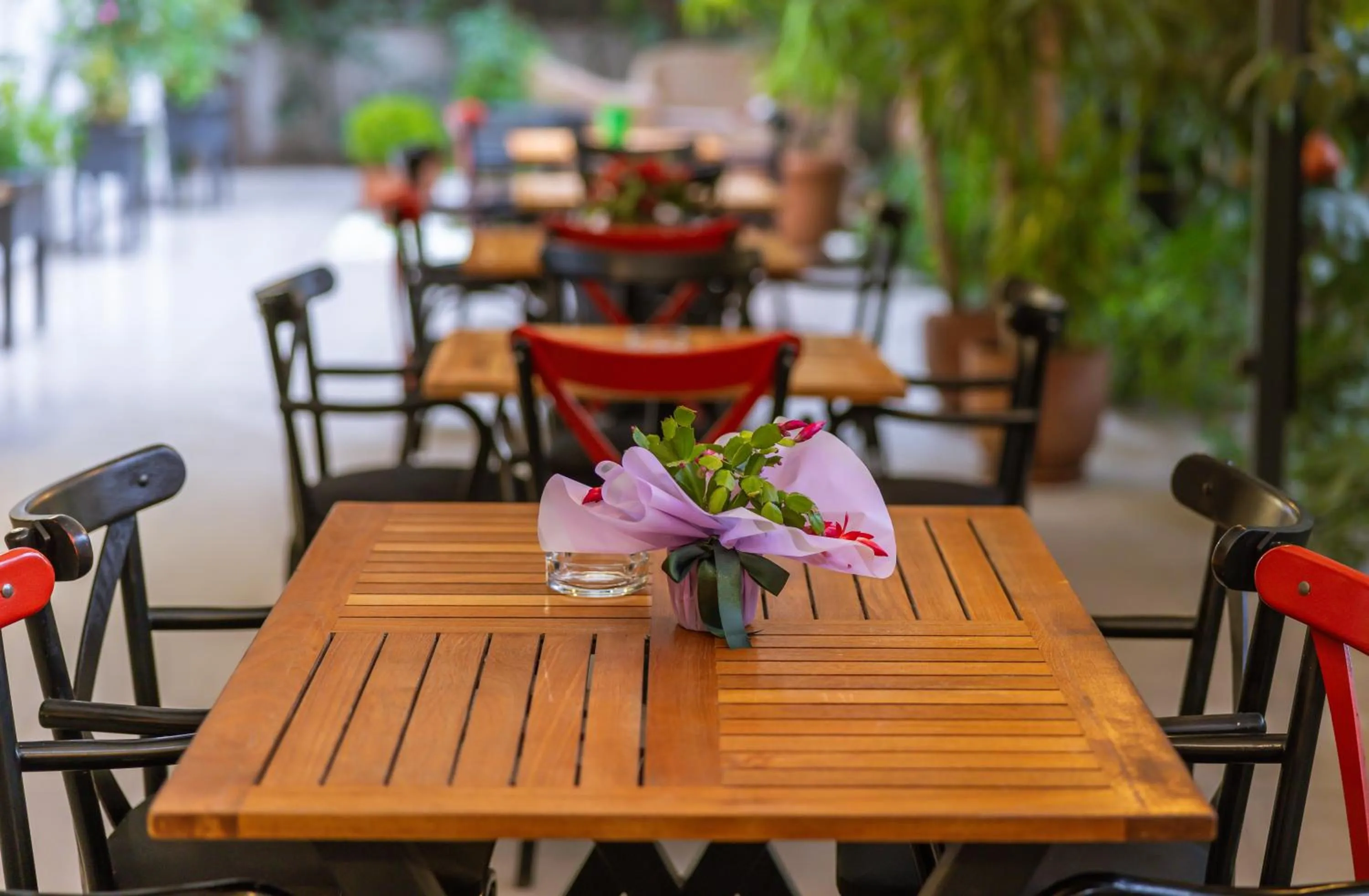 Day in Palmada Hotel