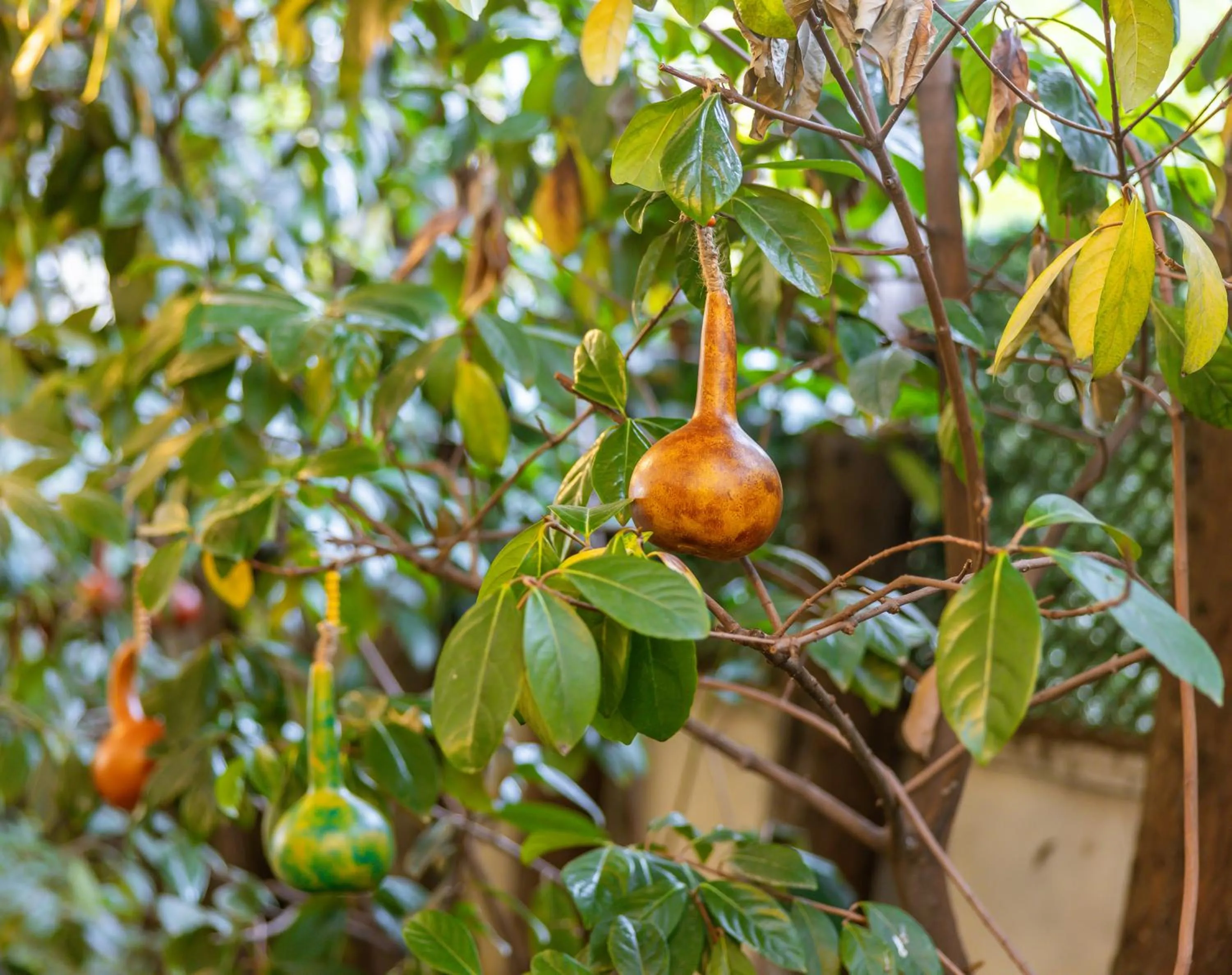 Day in Palmada Hotel