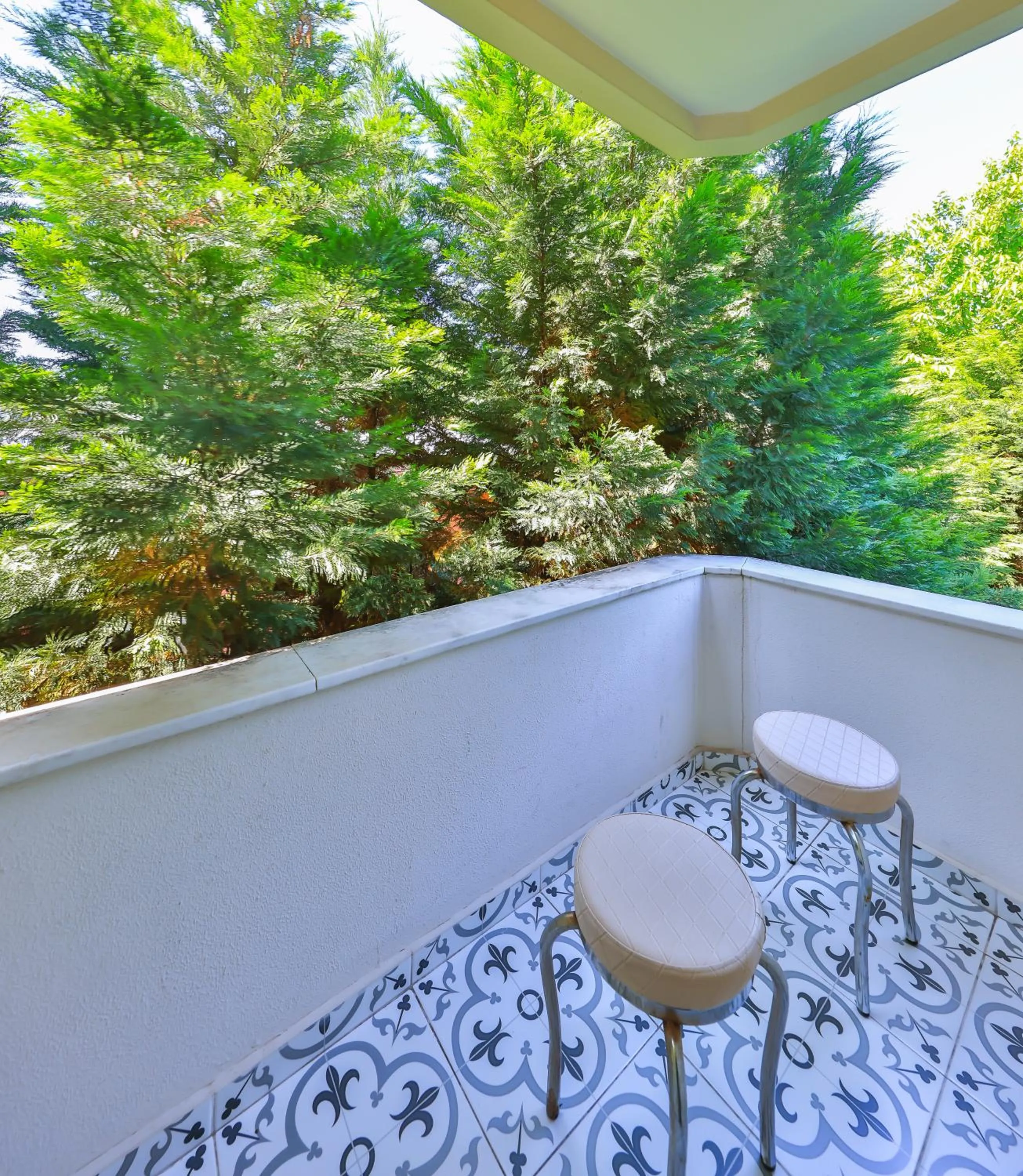 Spring in Palmada Hotel