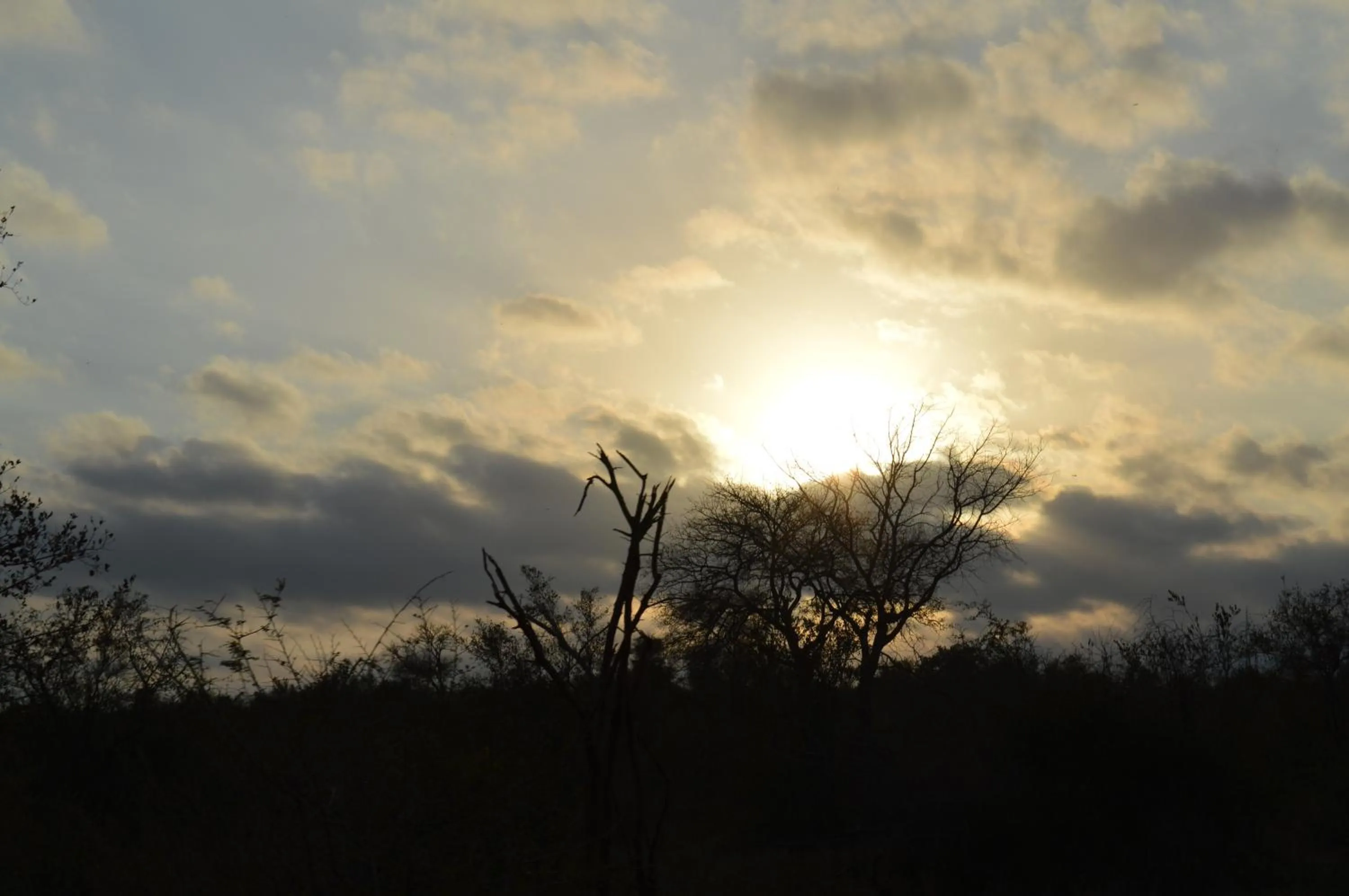 Sunset in Imbube Safari Lodge