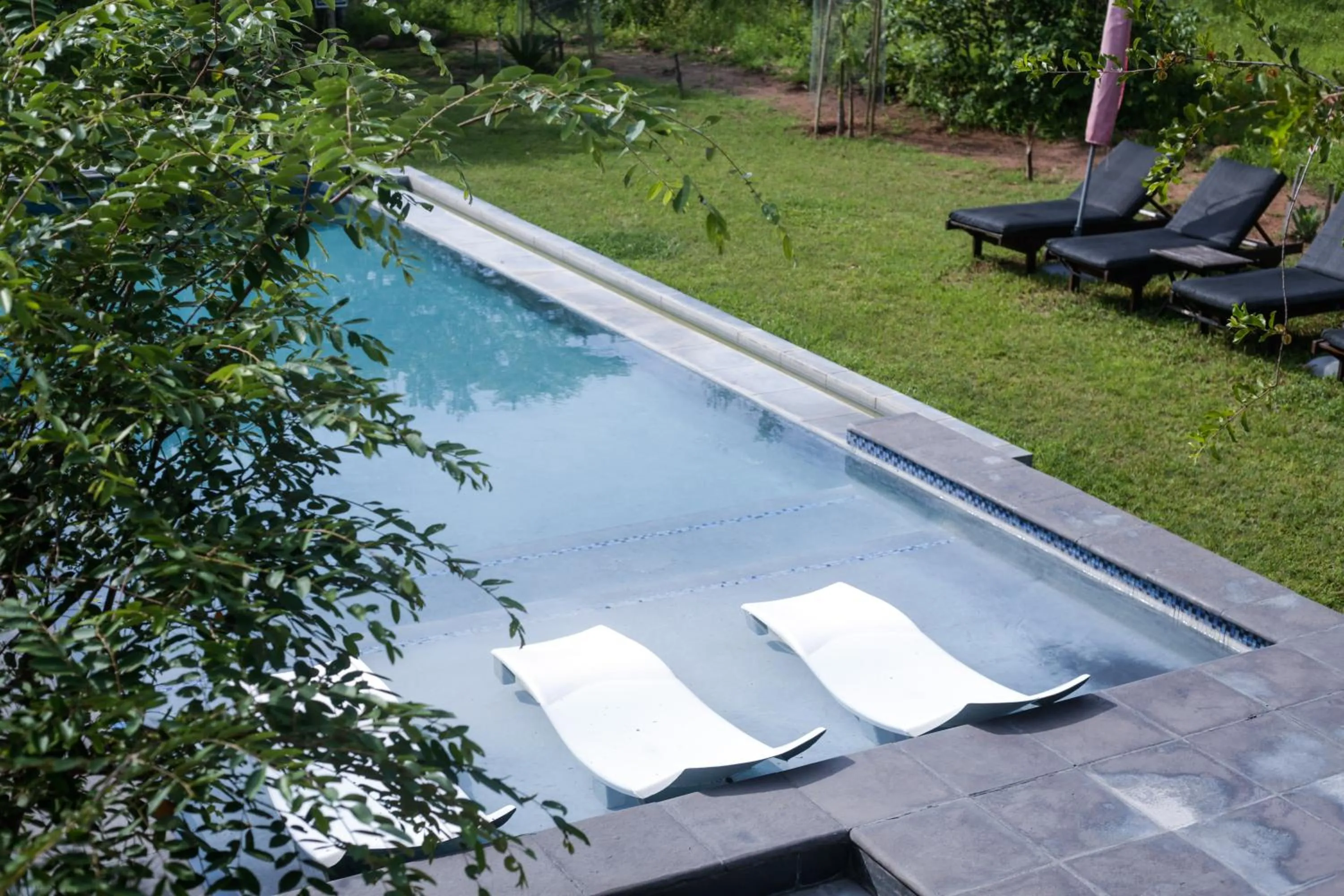 Garden view in Imbube Safari Lodge