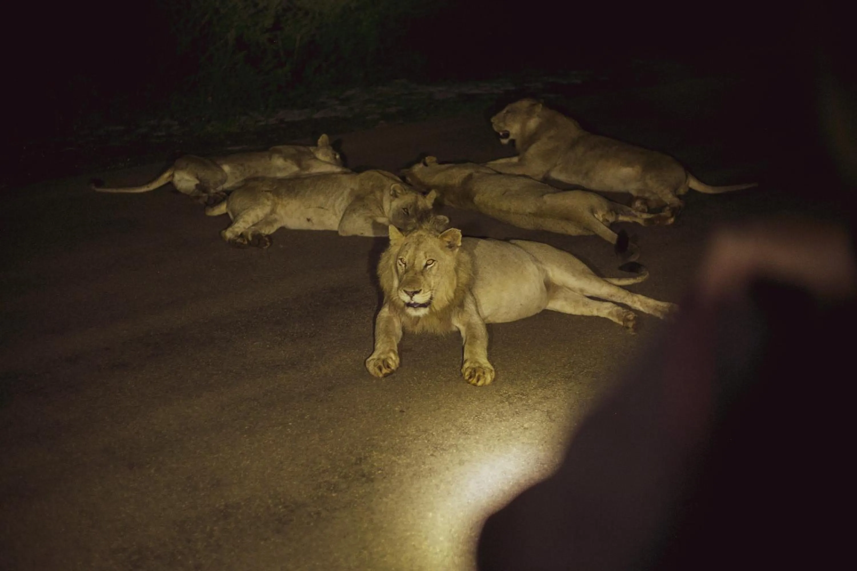 Activities in Imbube Safari Lodge