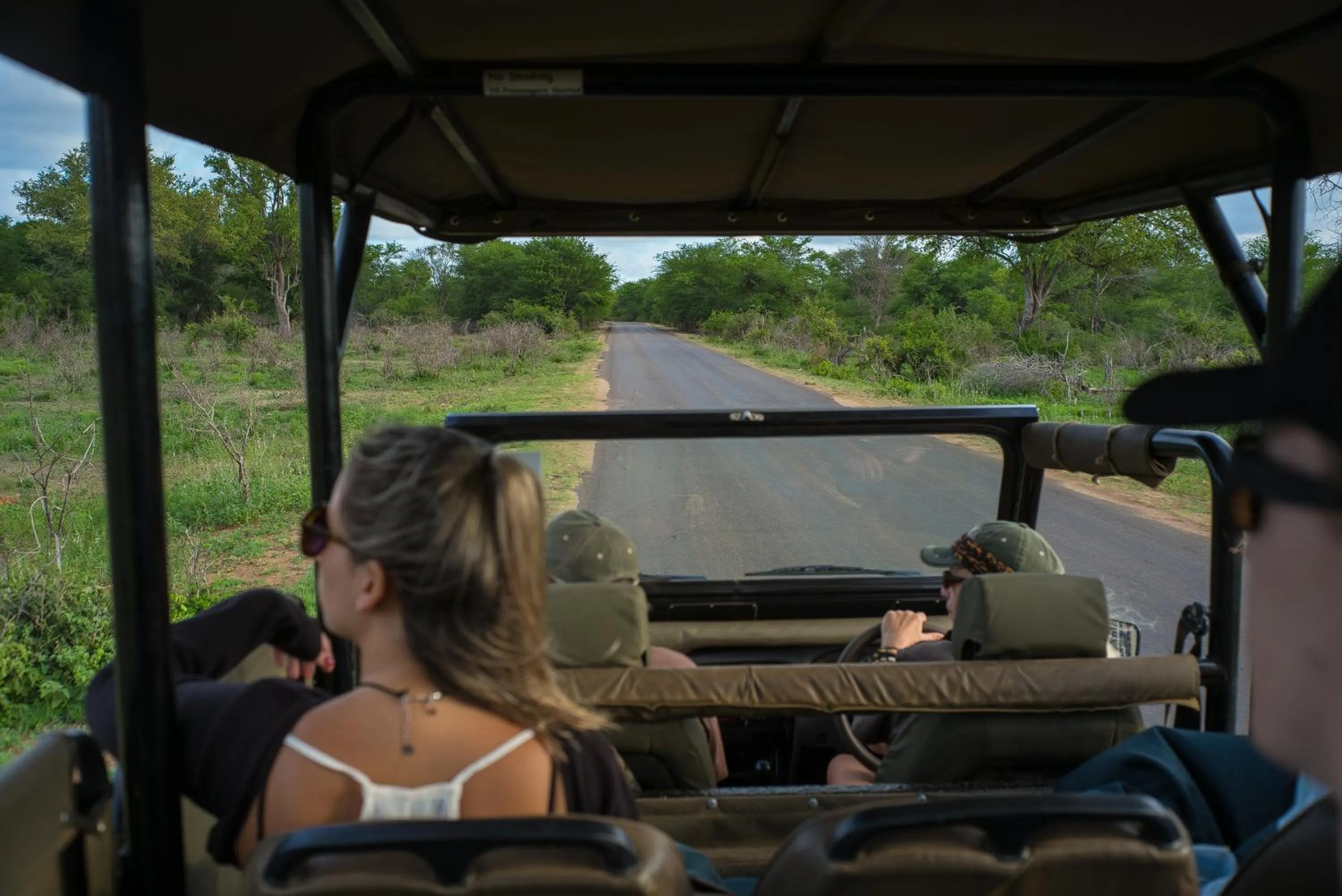 Animals in Imbube Safari Lodge